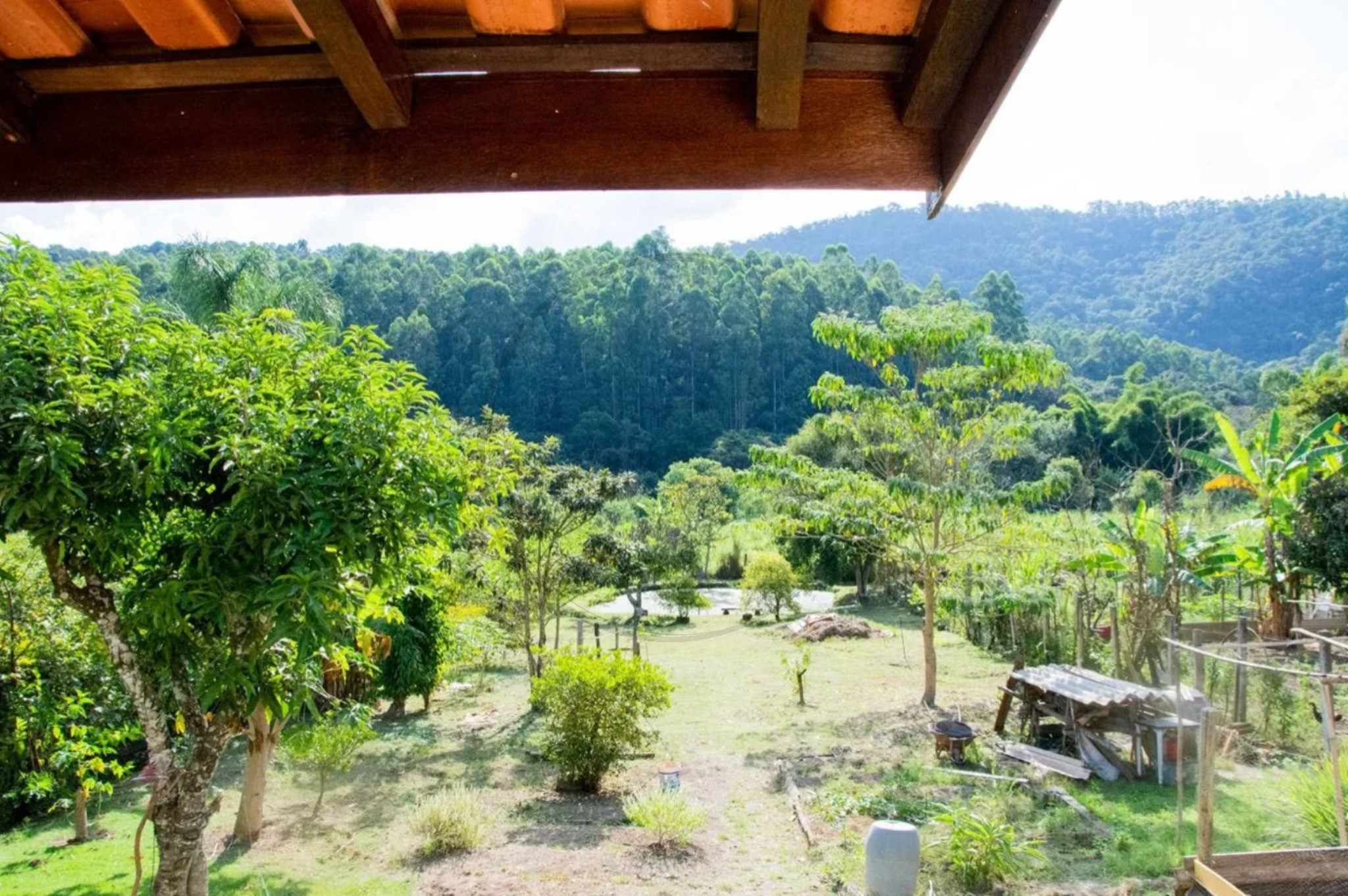 Chácara, 2 quartos, 3000 m² - Foto 10
