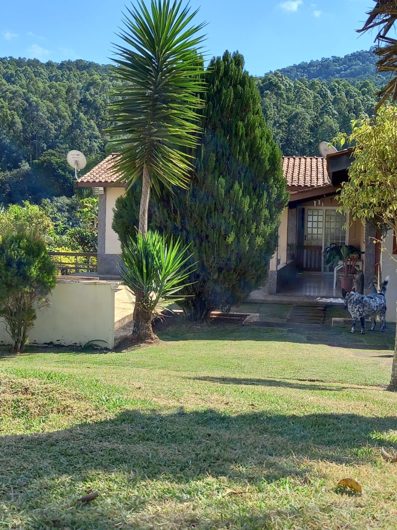 Chácara, 2 quartos, 3000 m² - Foto 17