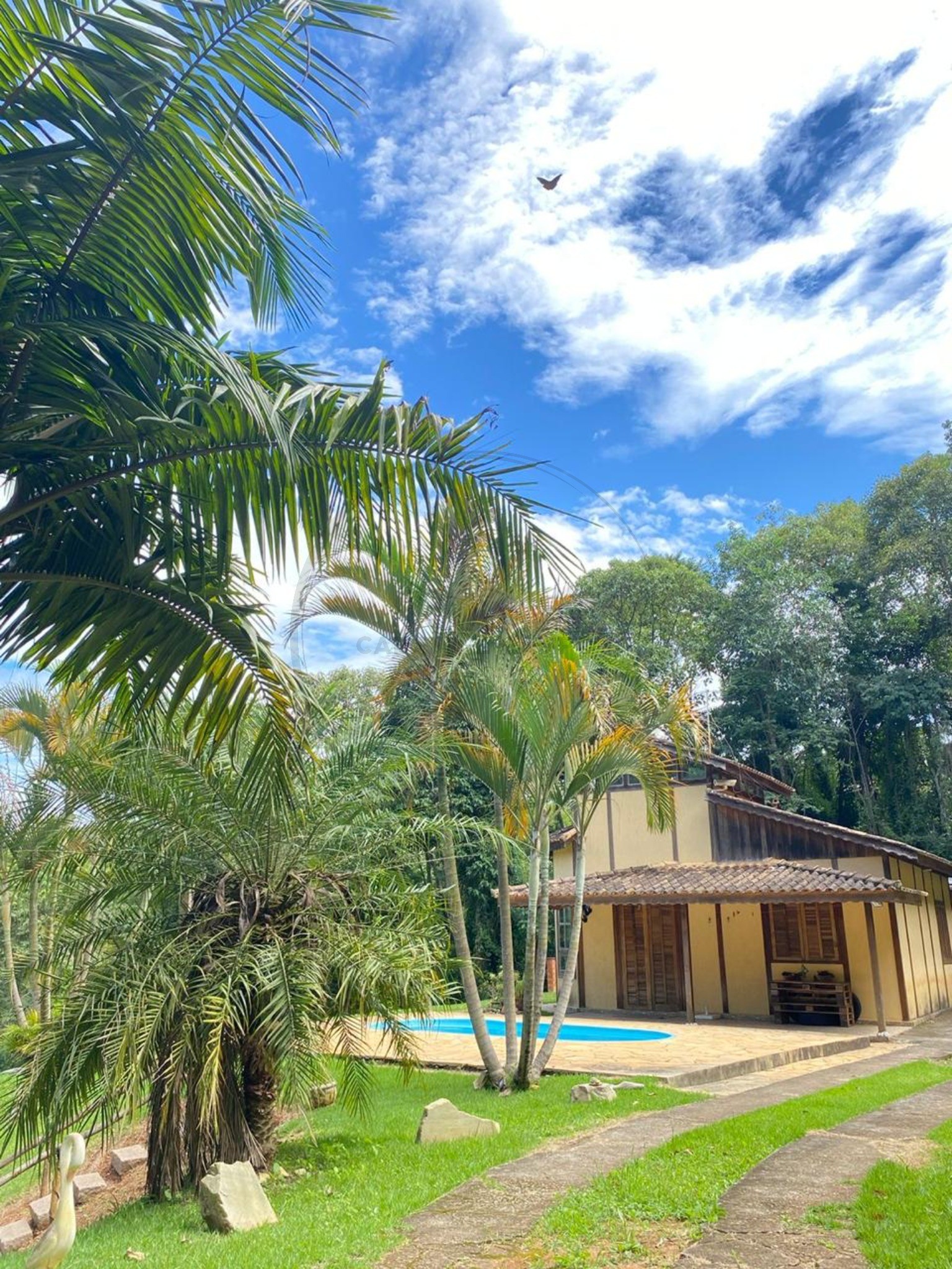 Chácara, 3 quartos, 1500 m² - Foto 9