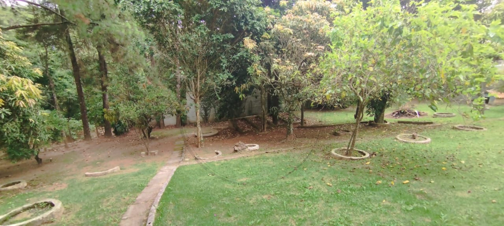 Chácara, 3 quartos - Foto 4