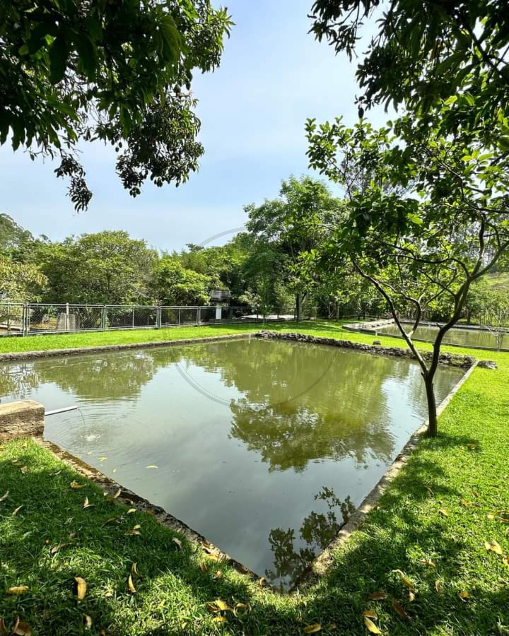 Sítio, 5 quartos, 3 hectares - Foto 14
