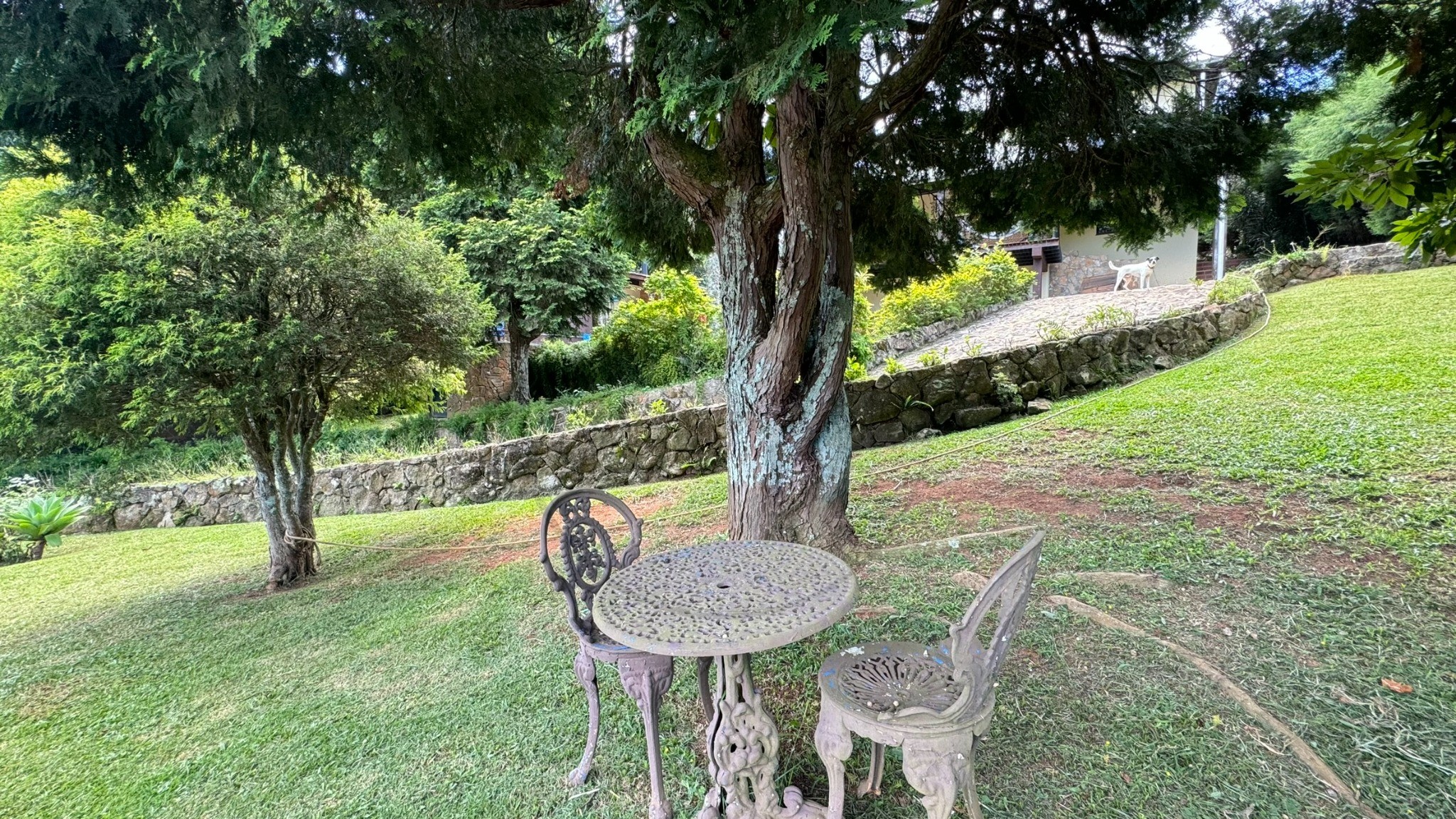 Chácara, 3 quartos, 1550 m² - Foto 49