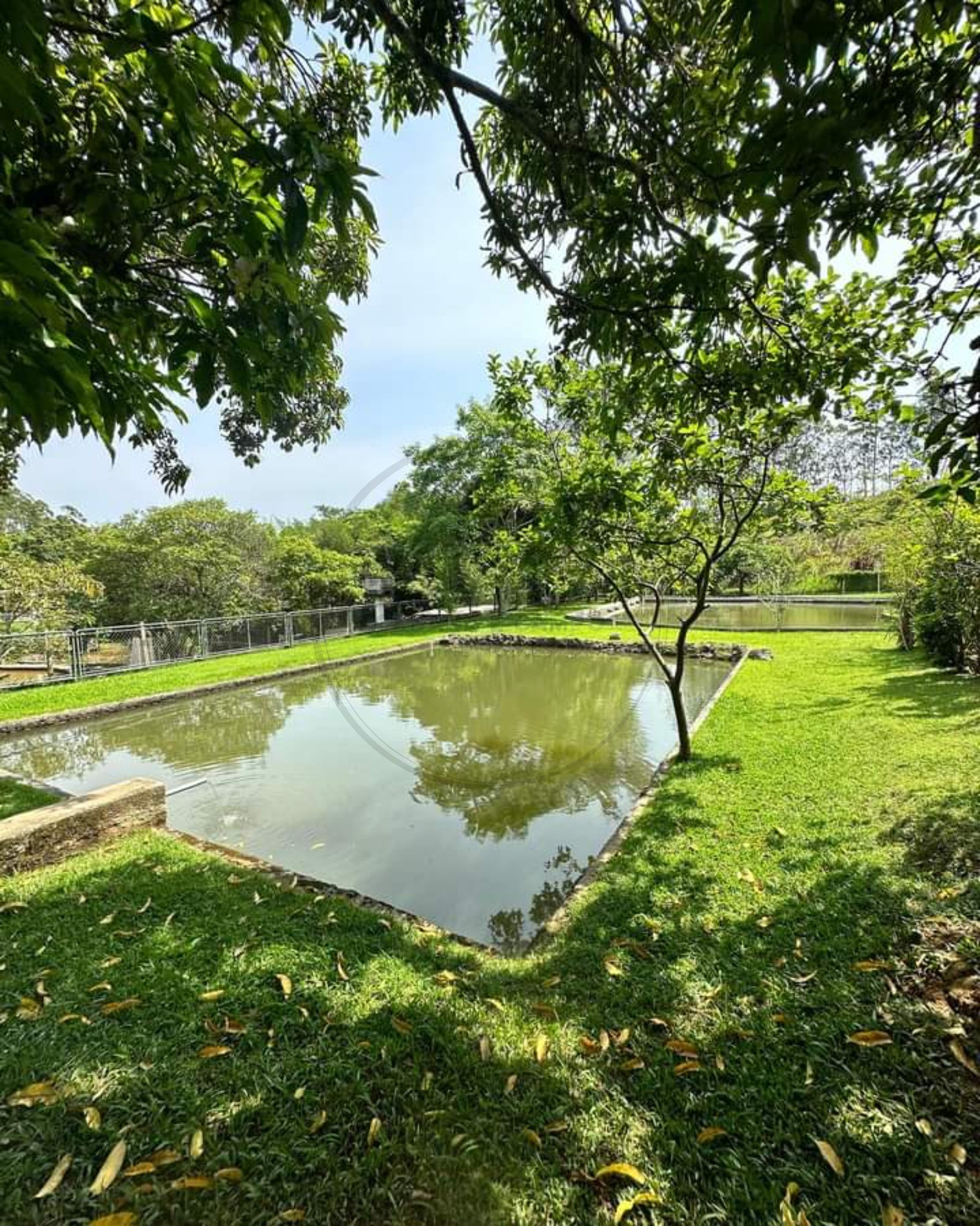 Sítio, 5 quartos, 3 hectares - Foto 11