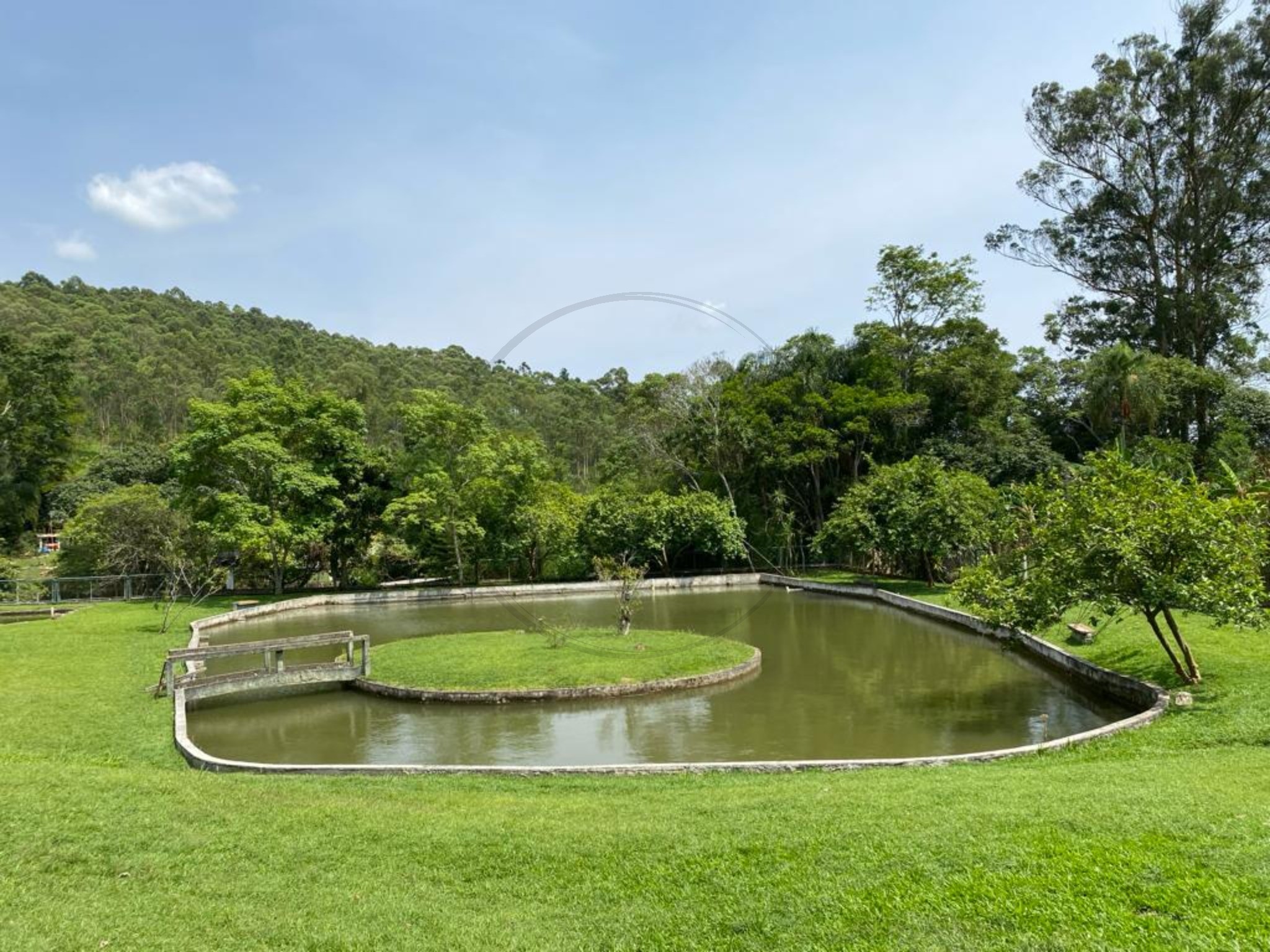 Sítio, 5 quartos, 3 hectares - Foto 4