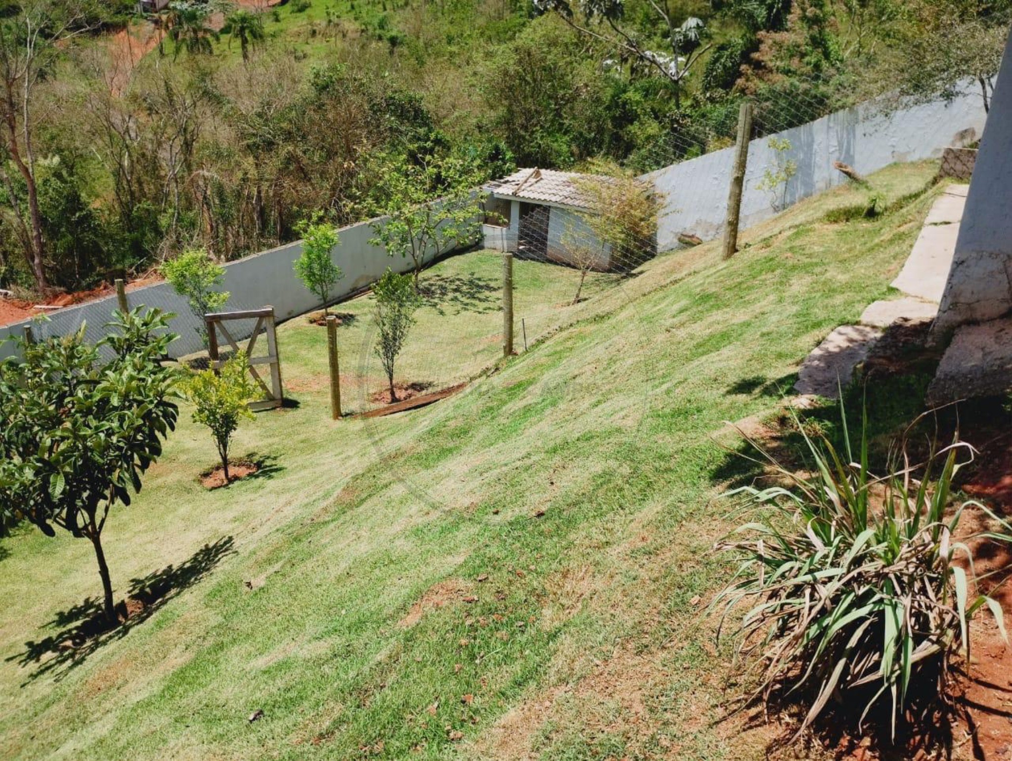 Chácara, 3 quartos, 1140 m² - Foto 12