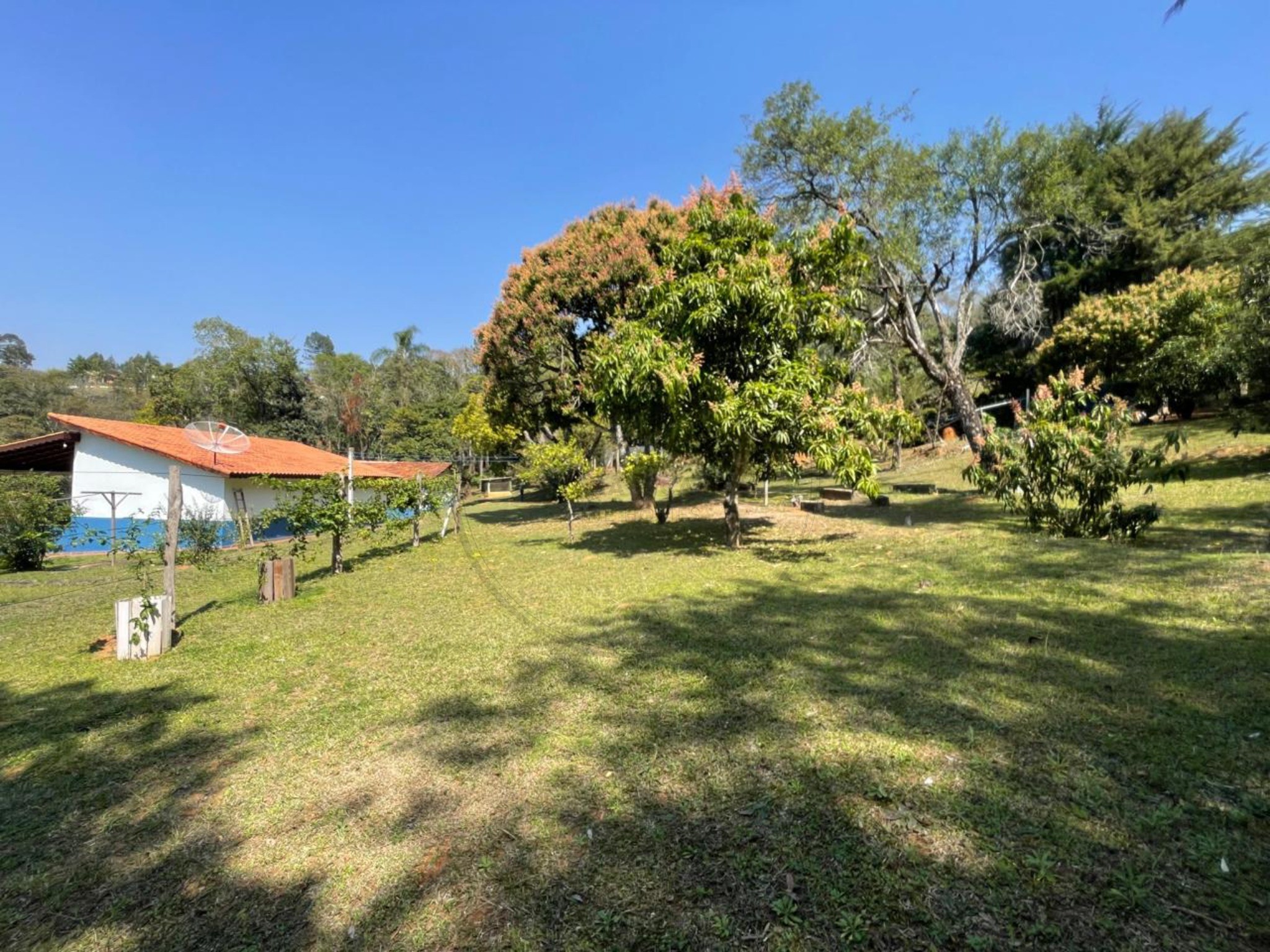 Sítio, 7 quartos, 1 hectares - Foto 9