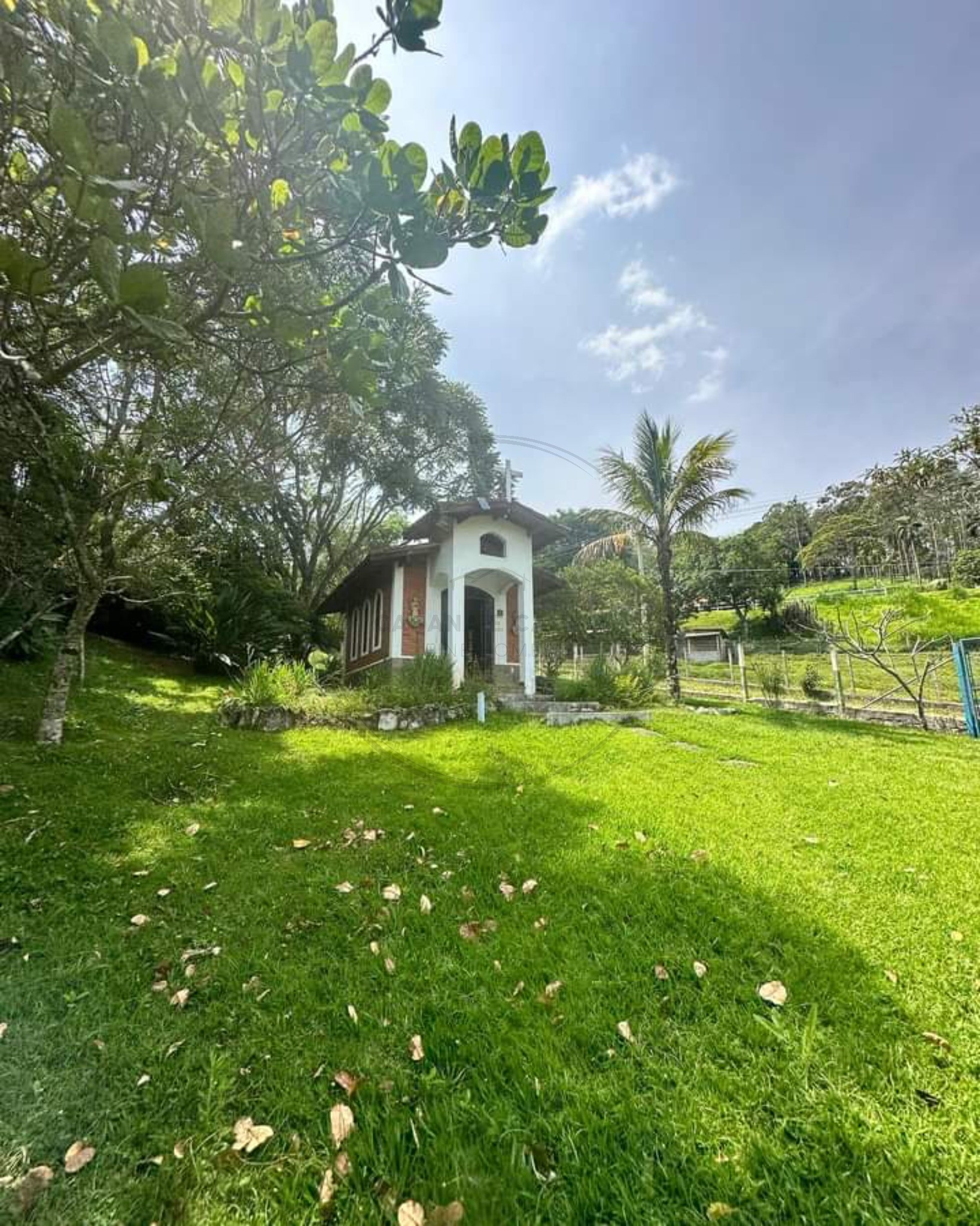 Sítio, 5 quartos, 3 hectares - Foto 8