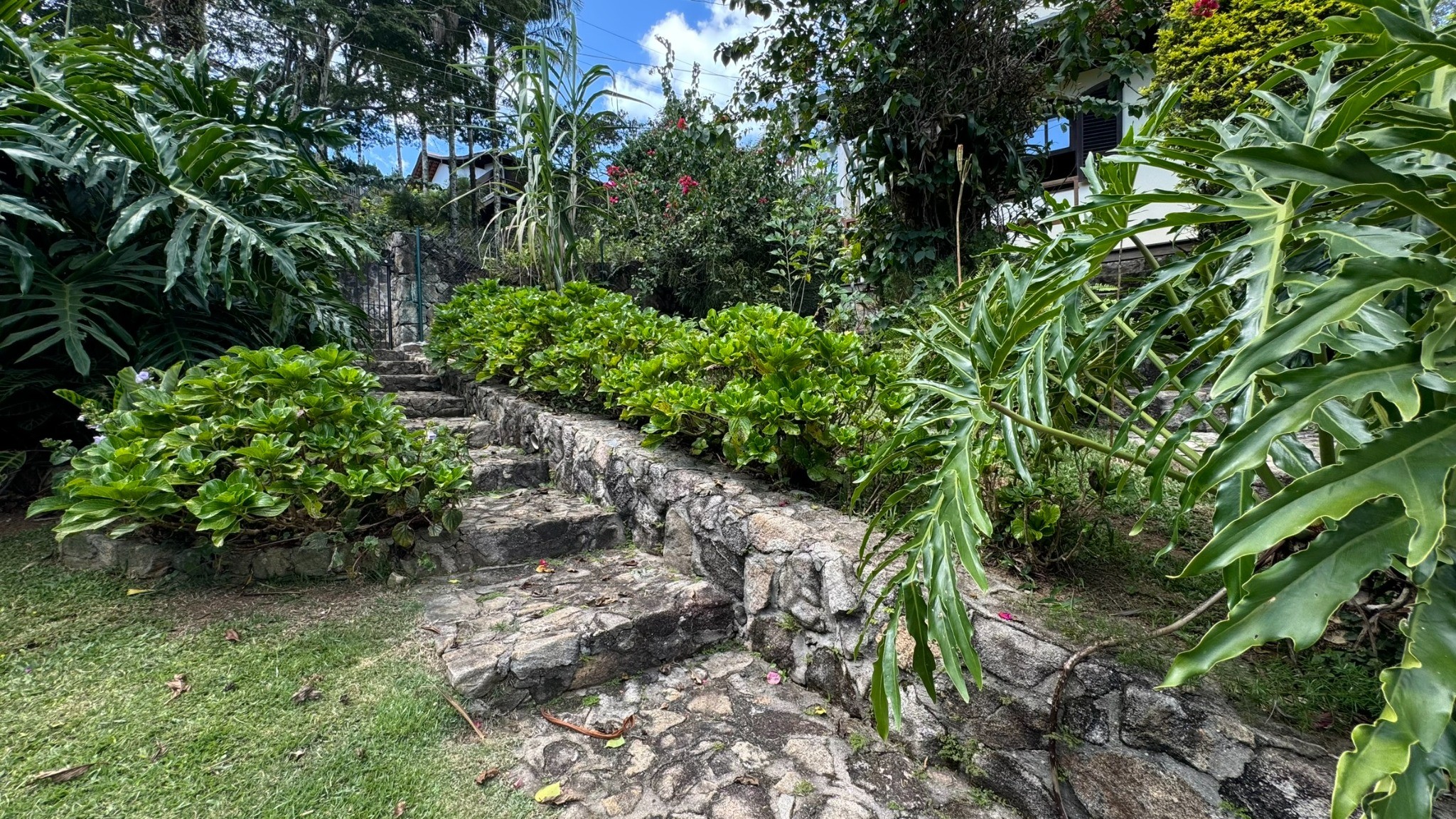 Chácara, 3 quartos, 1550 m² - Foto 33