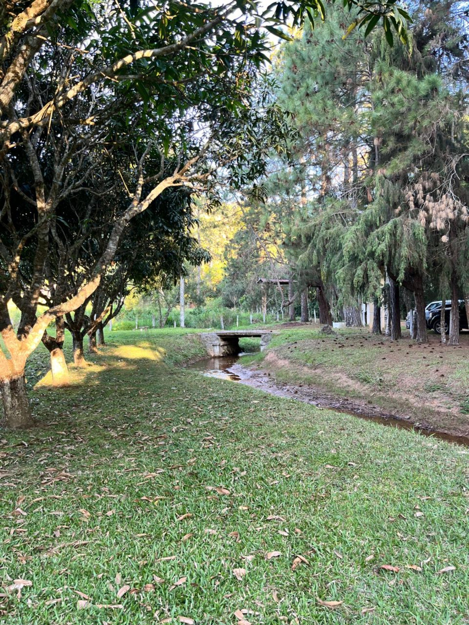 Sítio, 5 quartos - Foto 11