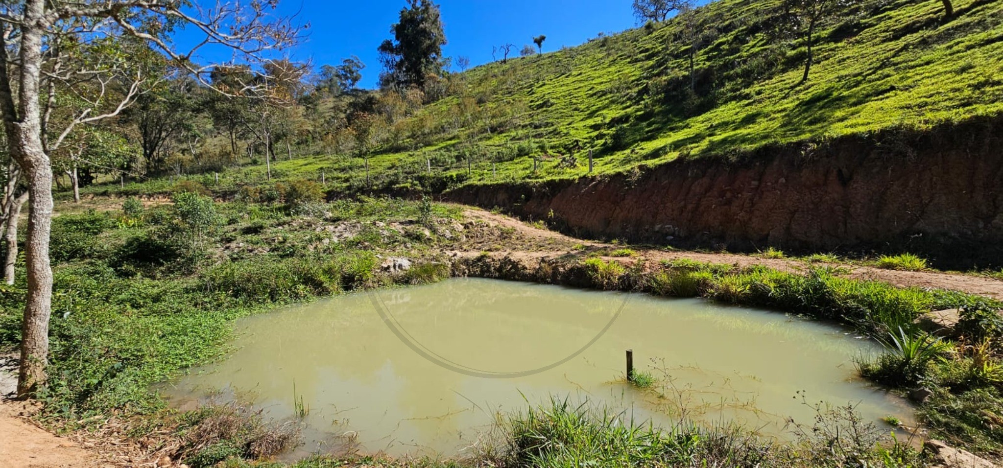 Sítio, 8 quartos - Foto 17