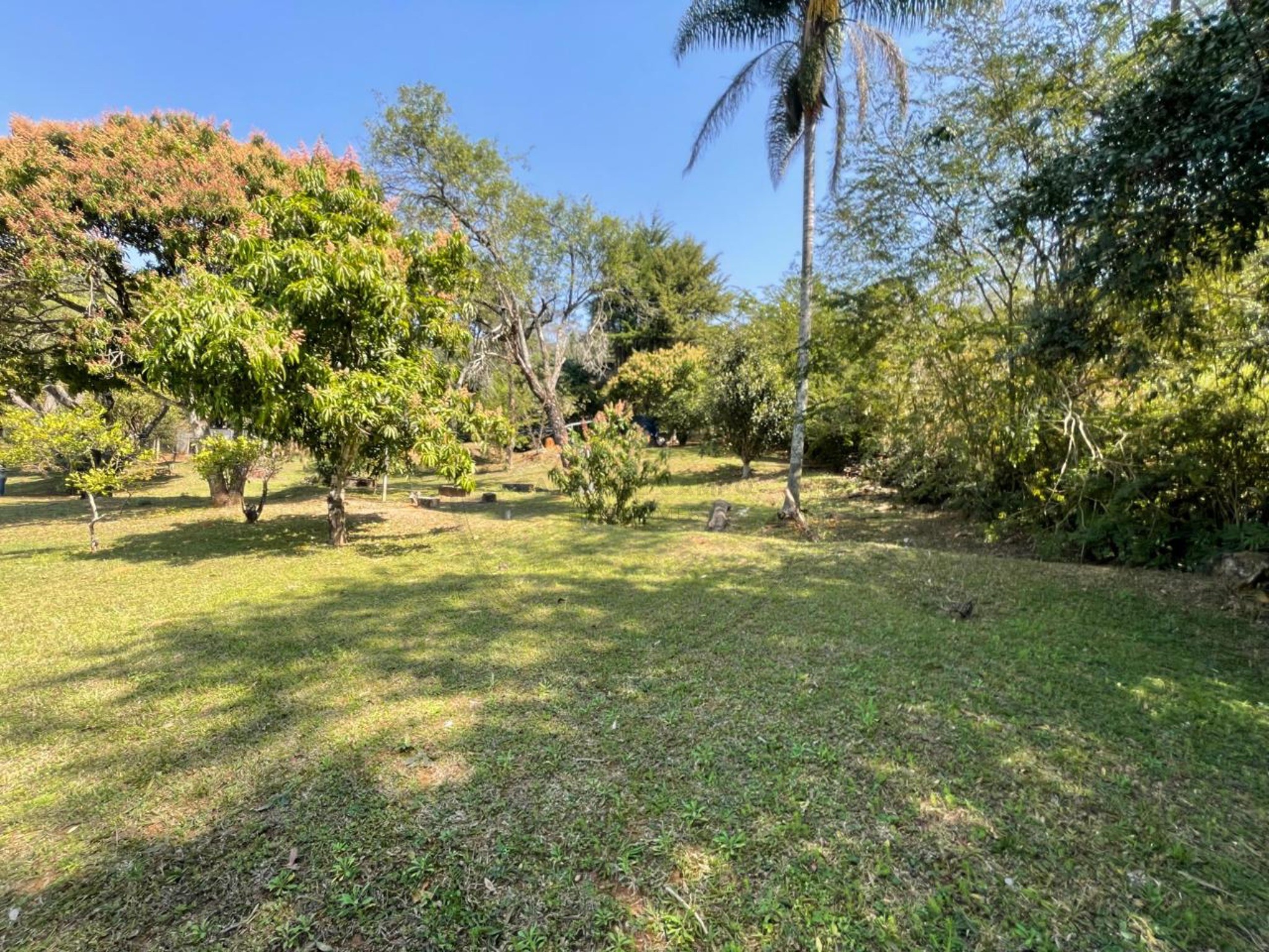Sítio, 7 quartos, 1 hectares - Foto 16