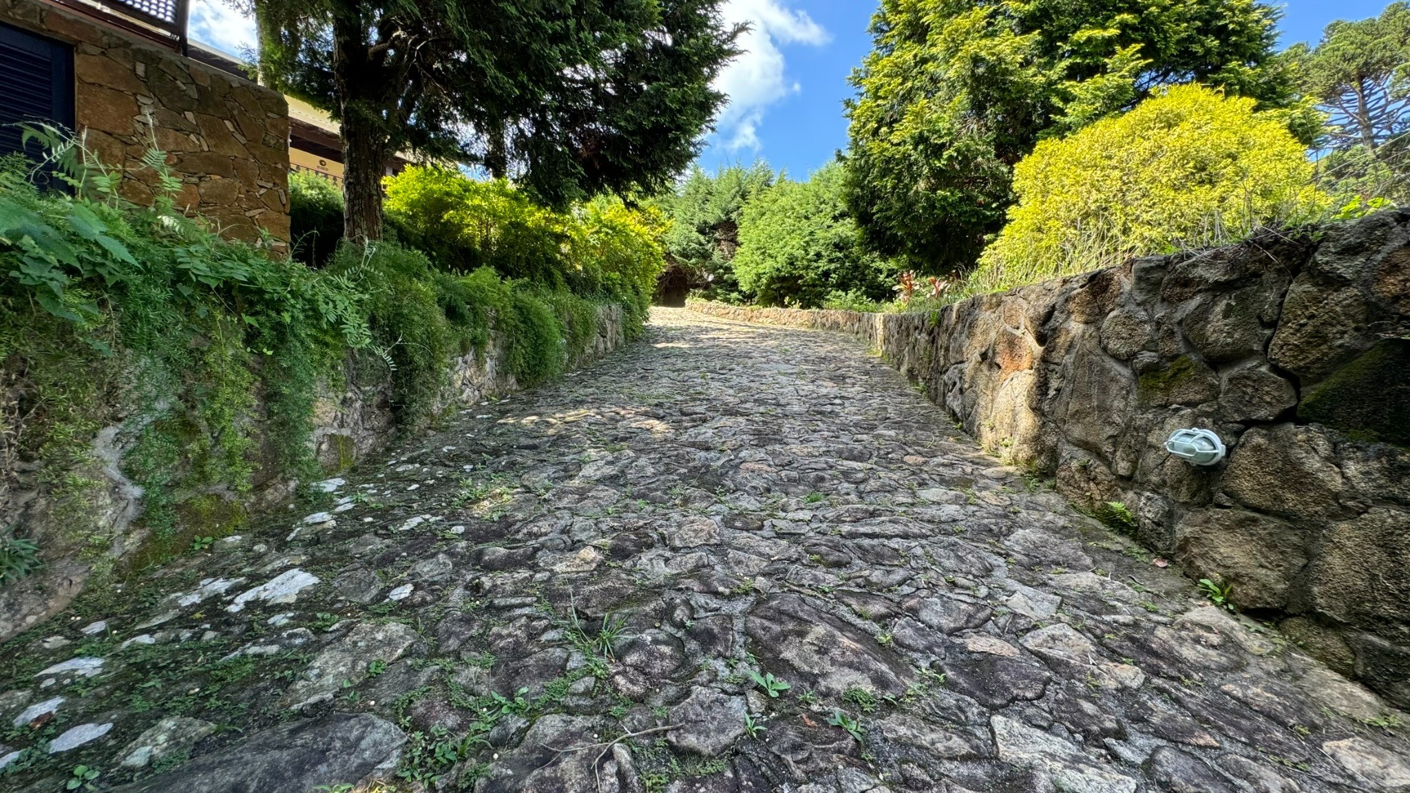 Chácara, 3 quartos, 1550 m² - Foto 66