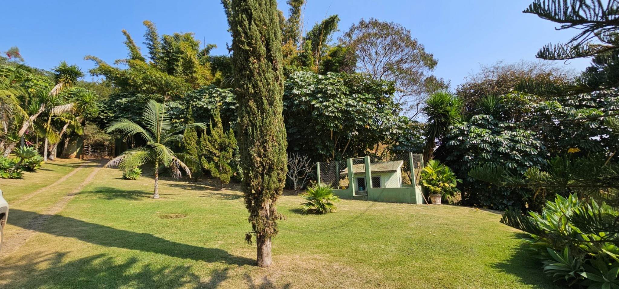 Chácara, 3 quartos - Foto 21