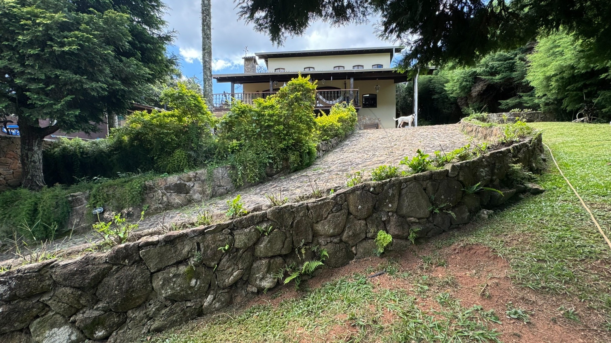 Chácara, 3 quartos, 1550 m² - Foto 50