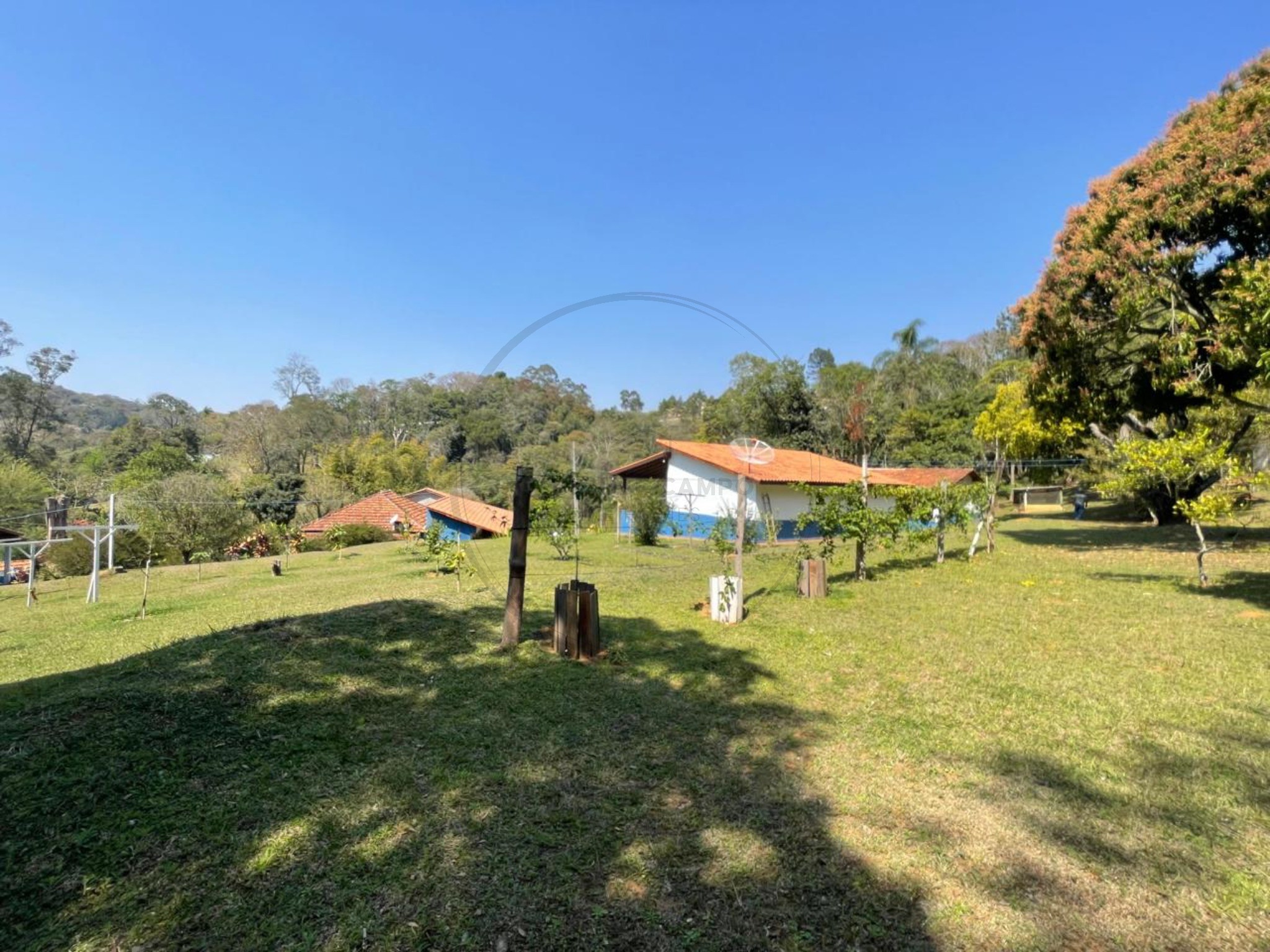 Sítio, 7 quartos, 1 hectares - Foto 8
