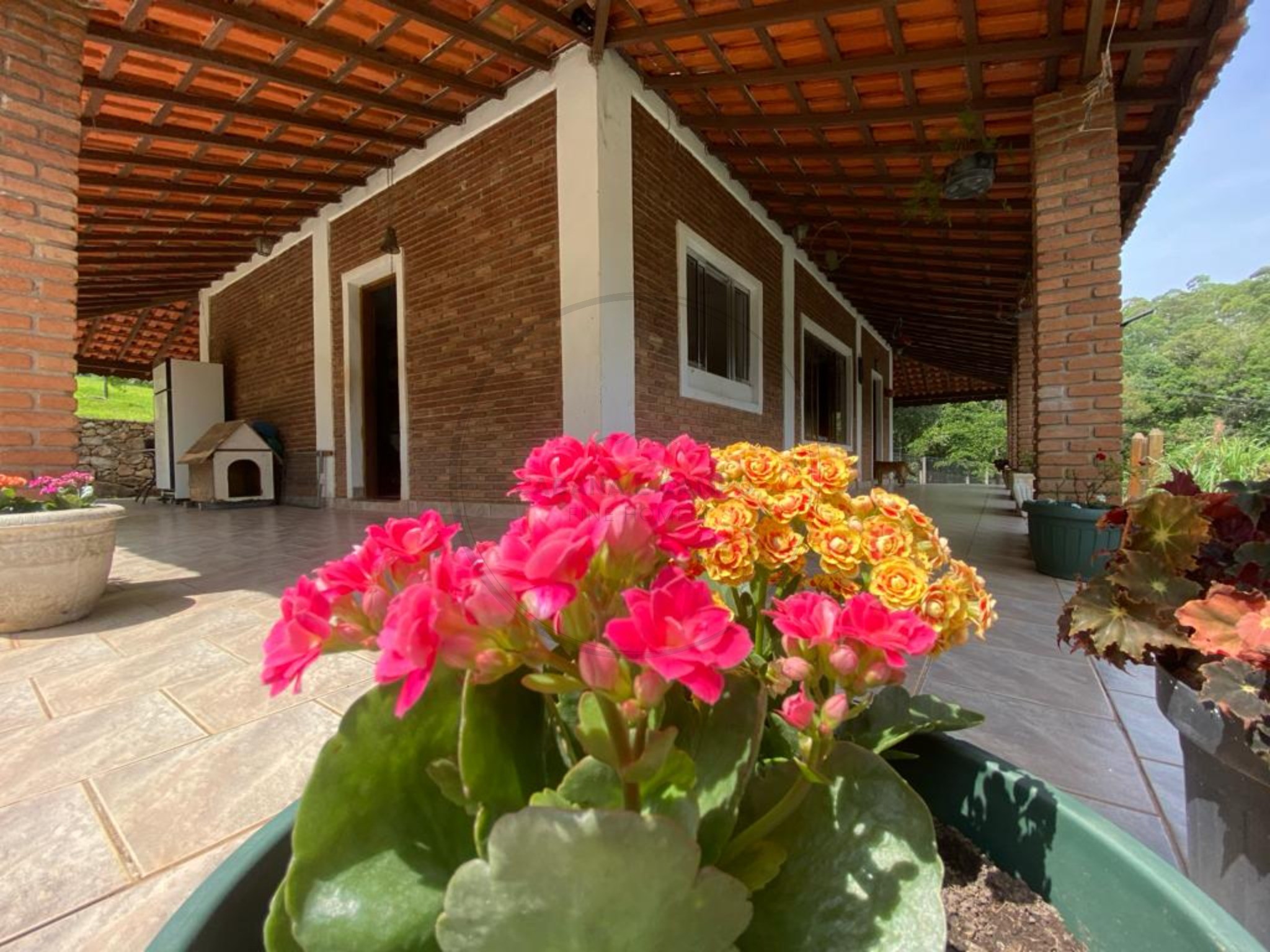 Sítio, 5 quartos, 3 hectares - Foto 2