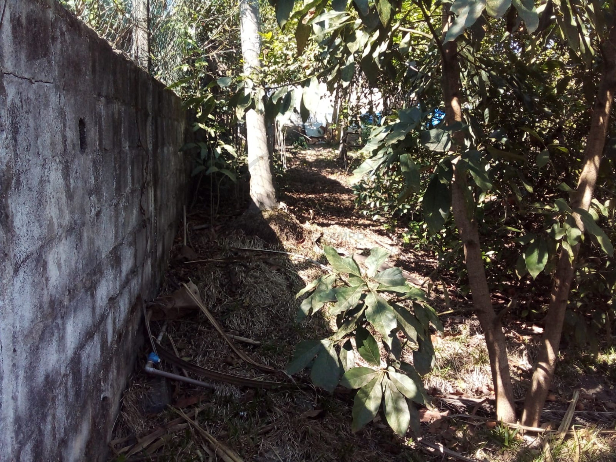 Chácara, 2 quartos, 600 m² - Foto 21