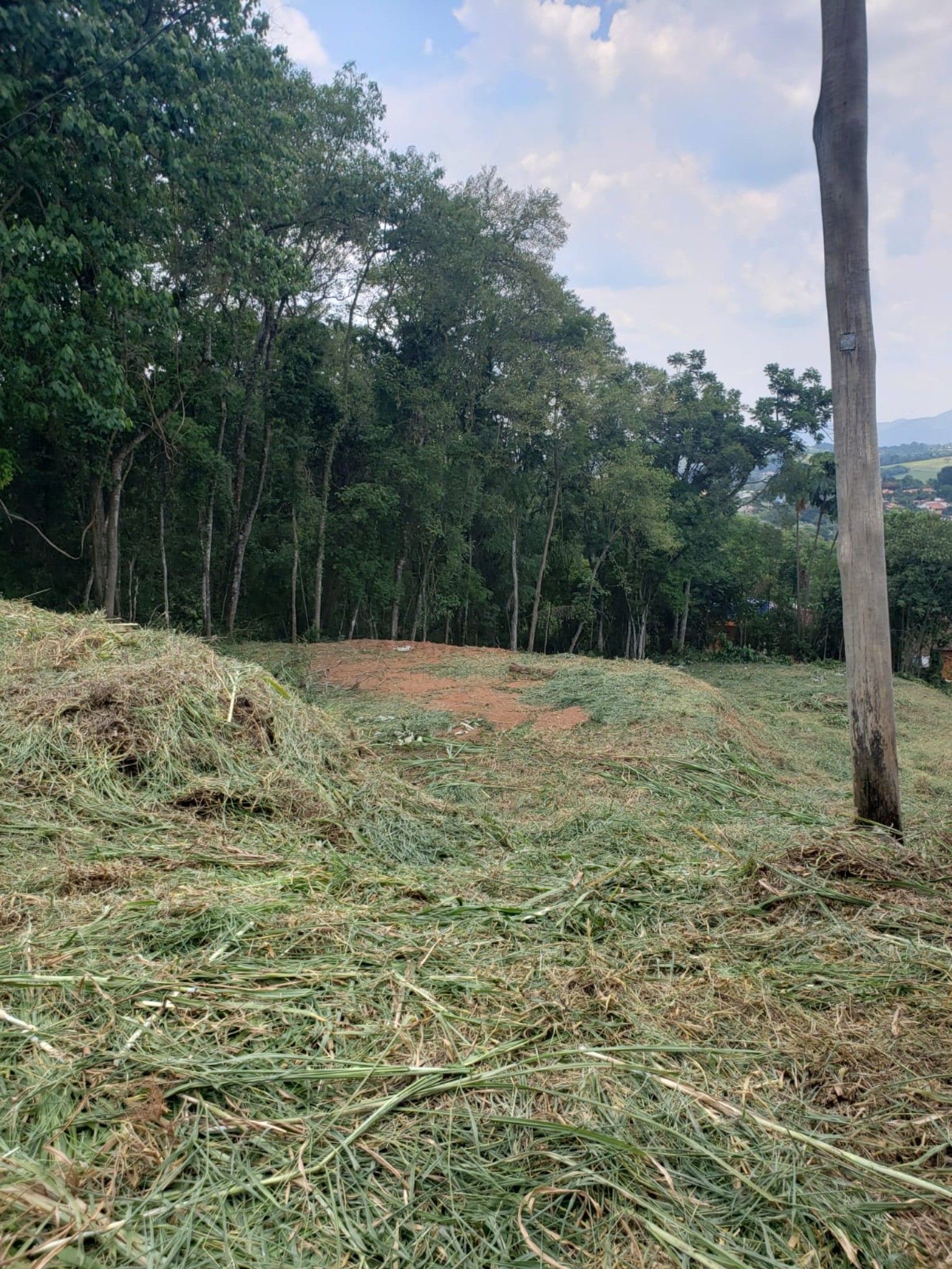 Terreno, 1000 m² - Foto 6