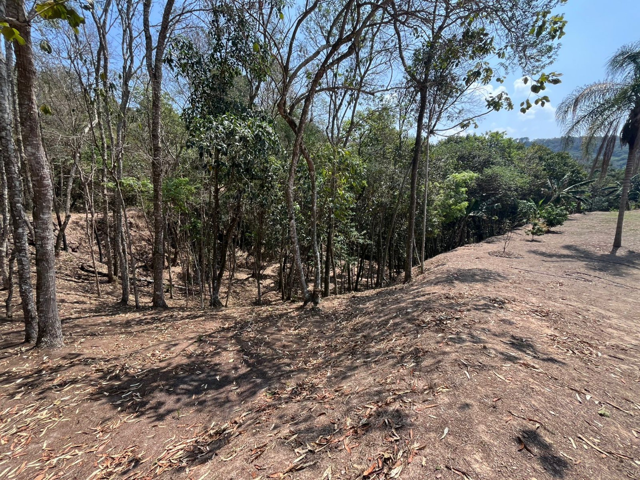 Terreno, 5000 m² - Foto 11