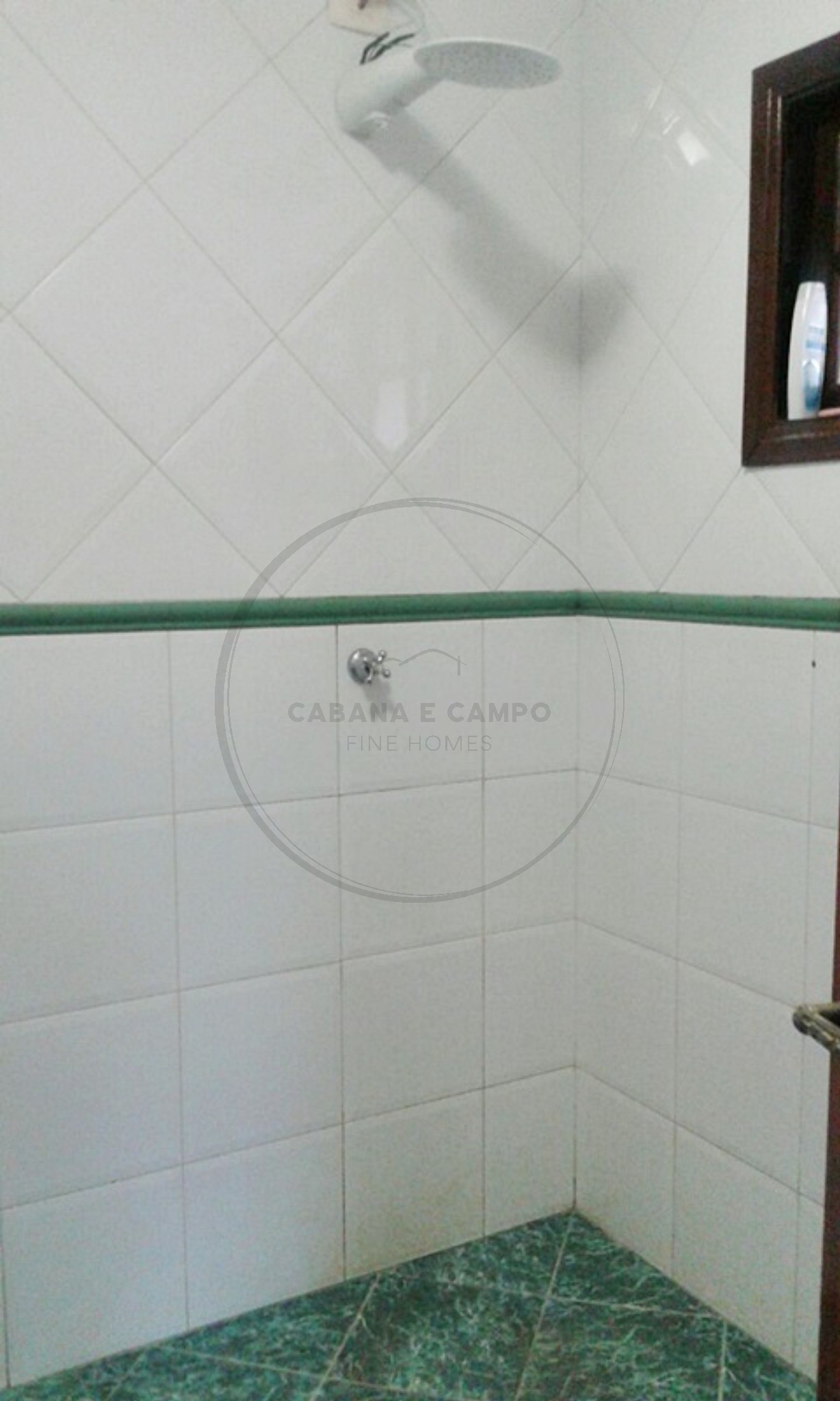 Chácara, 4 quartos, 1000 m² - Foto 4