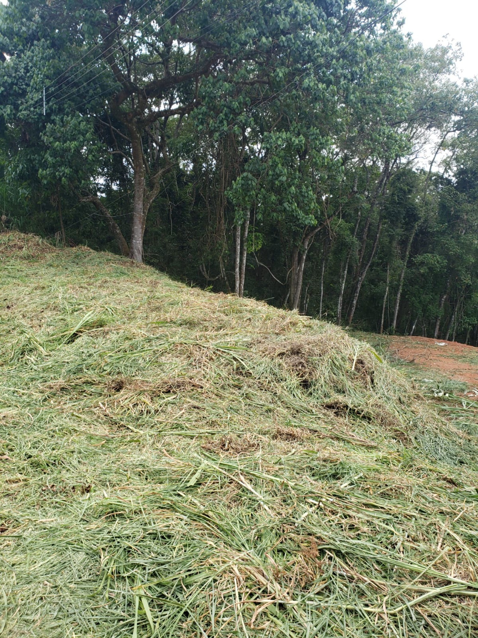 Terreno, 1000 m² - Foto 2