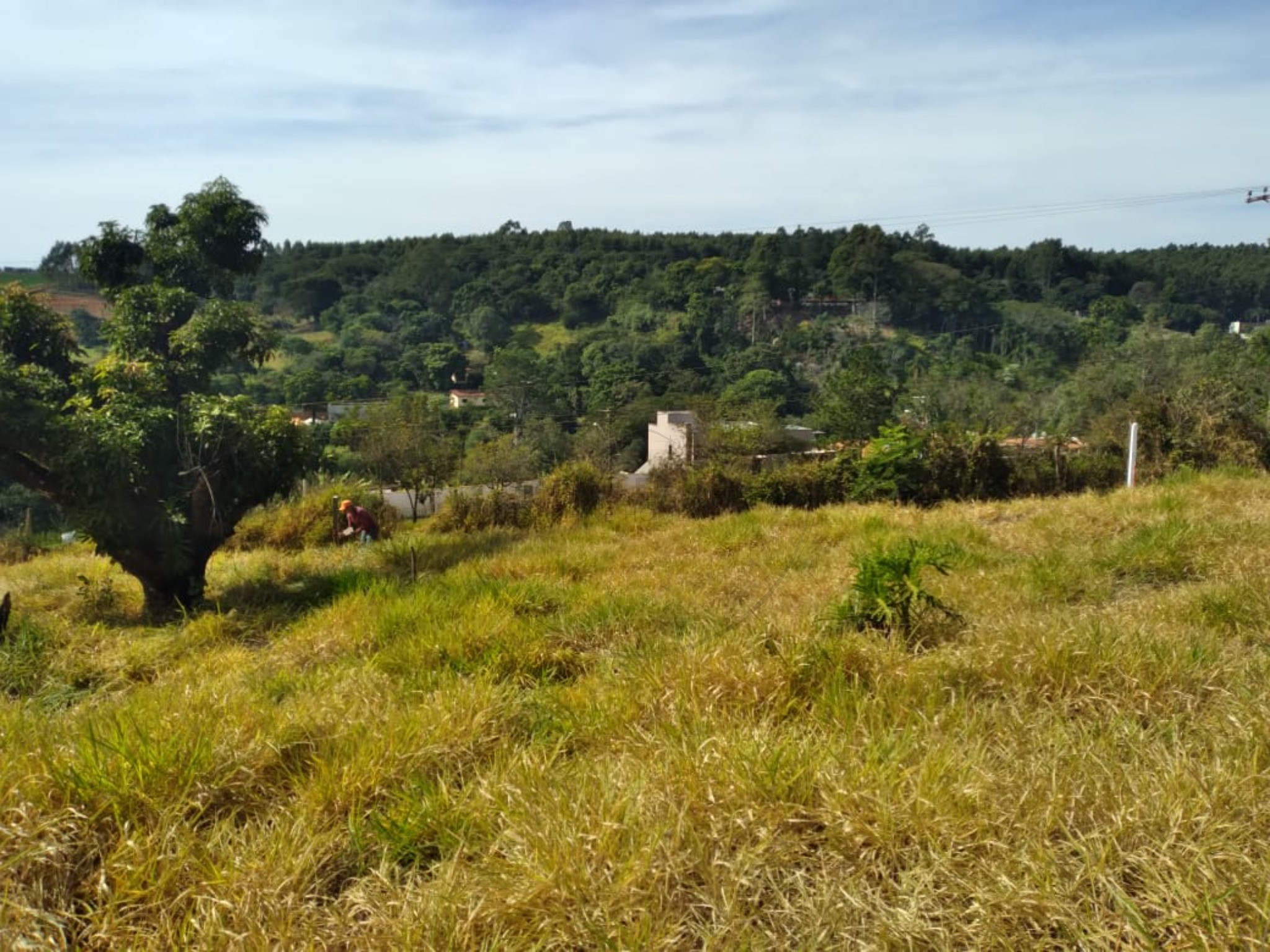 Terreno, 800 m² - Foto 2