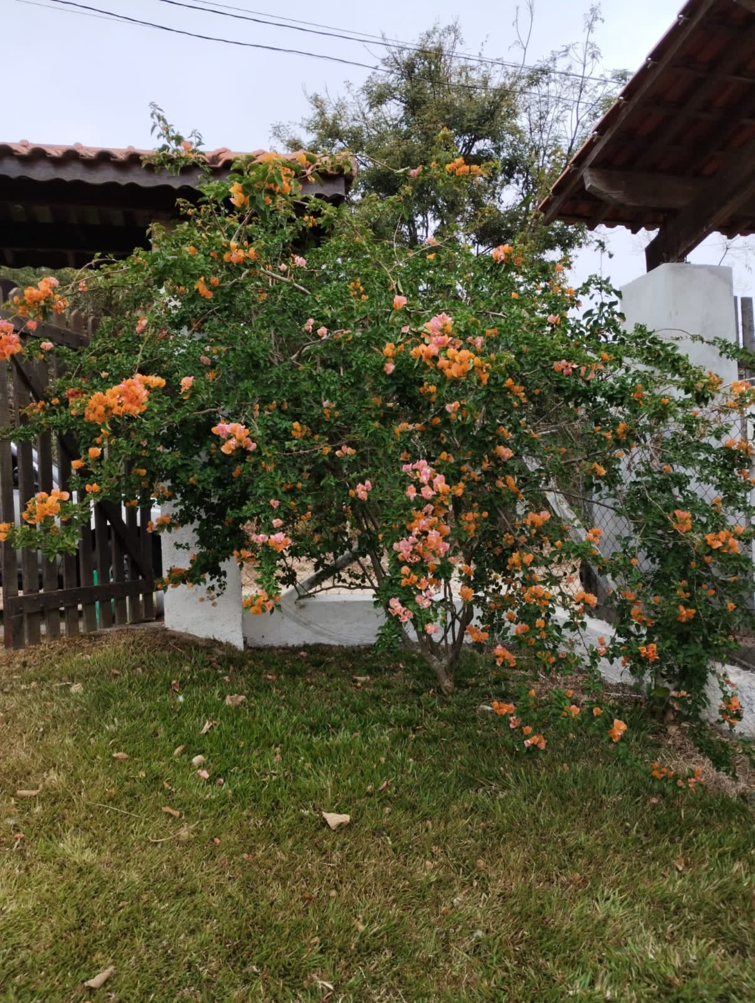 Chácara, 2 quartos, 600 m² - Foto 24