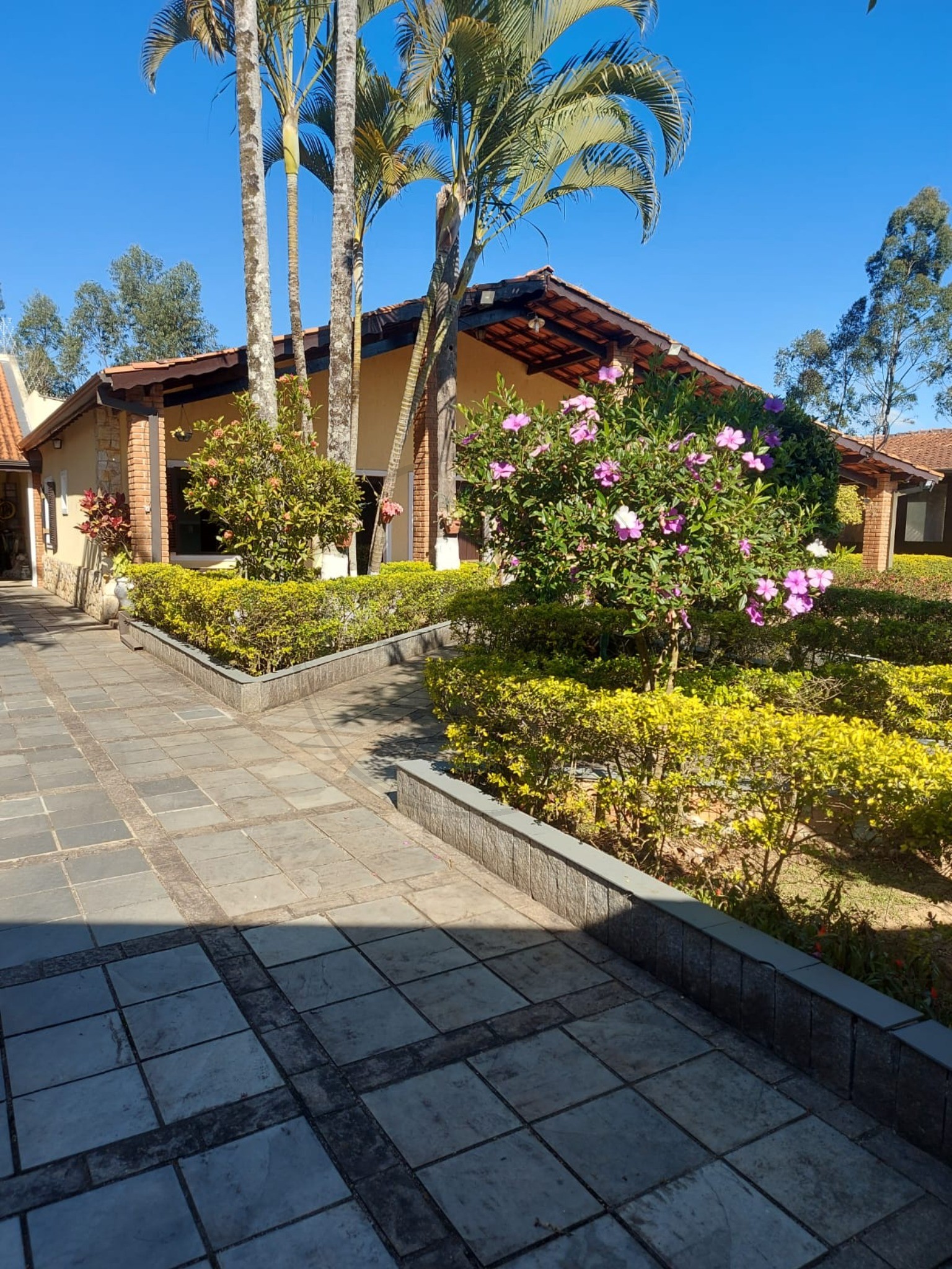 Chácara, 5 quartos, 1270 m² - Foto 2