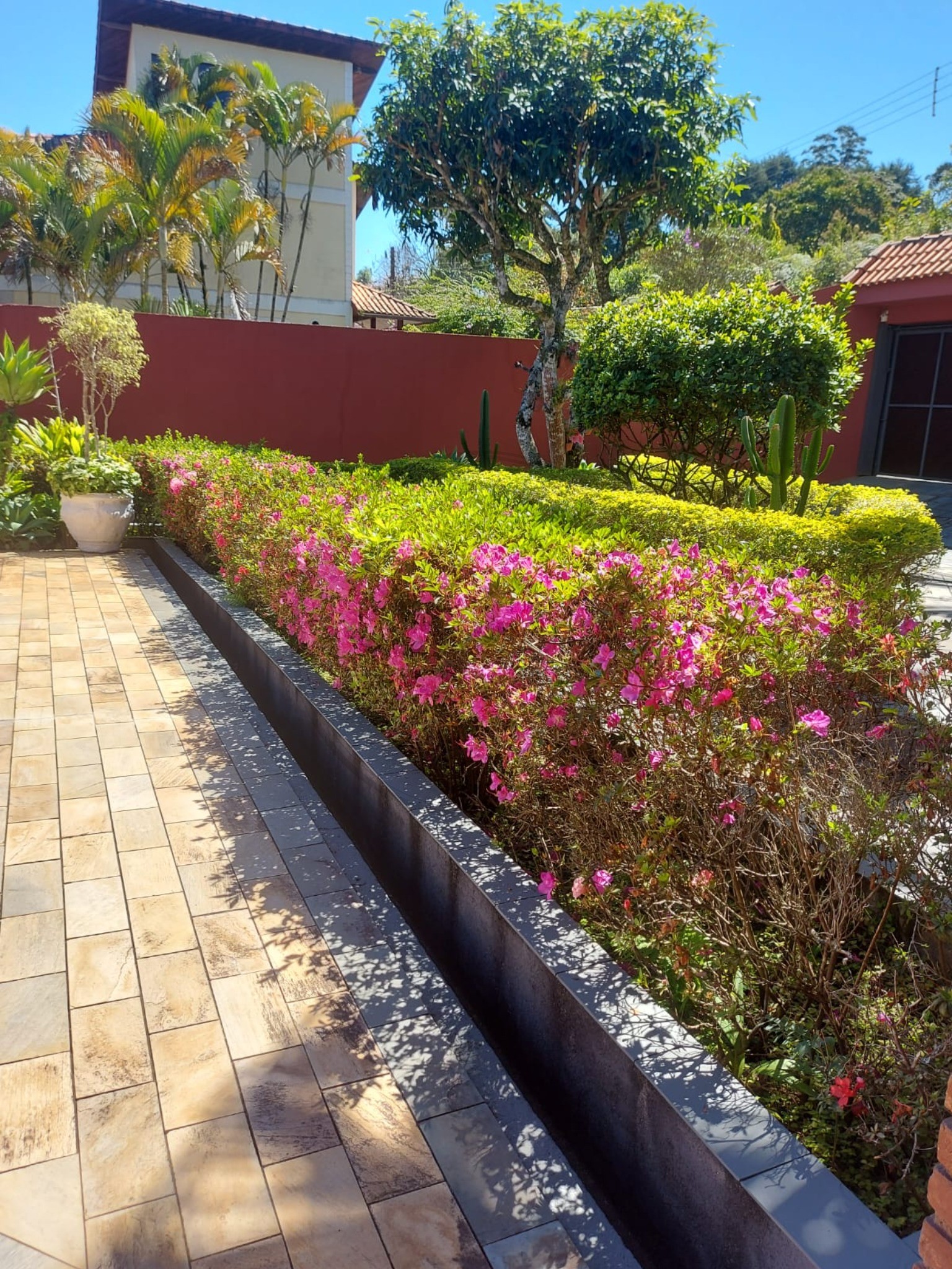 Chácara, 5 quartos, 1270 m² - Foto 6