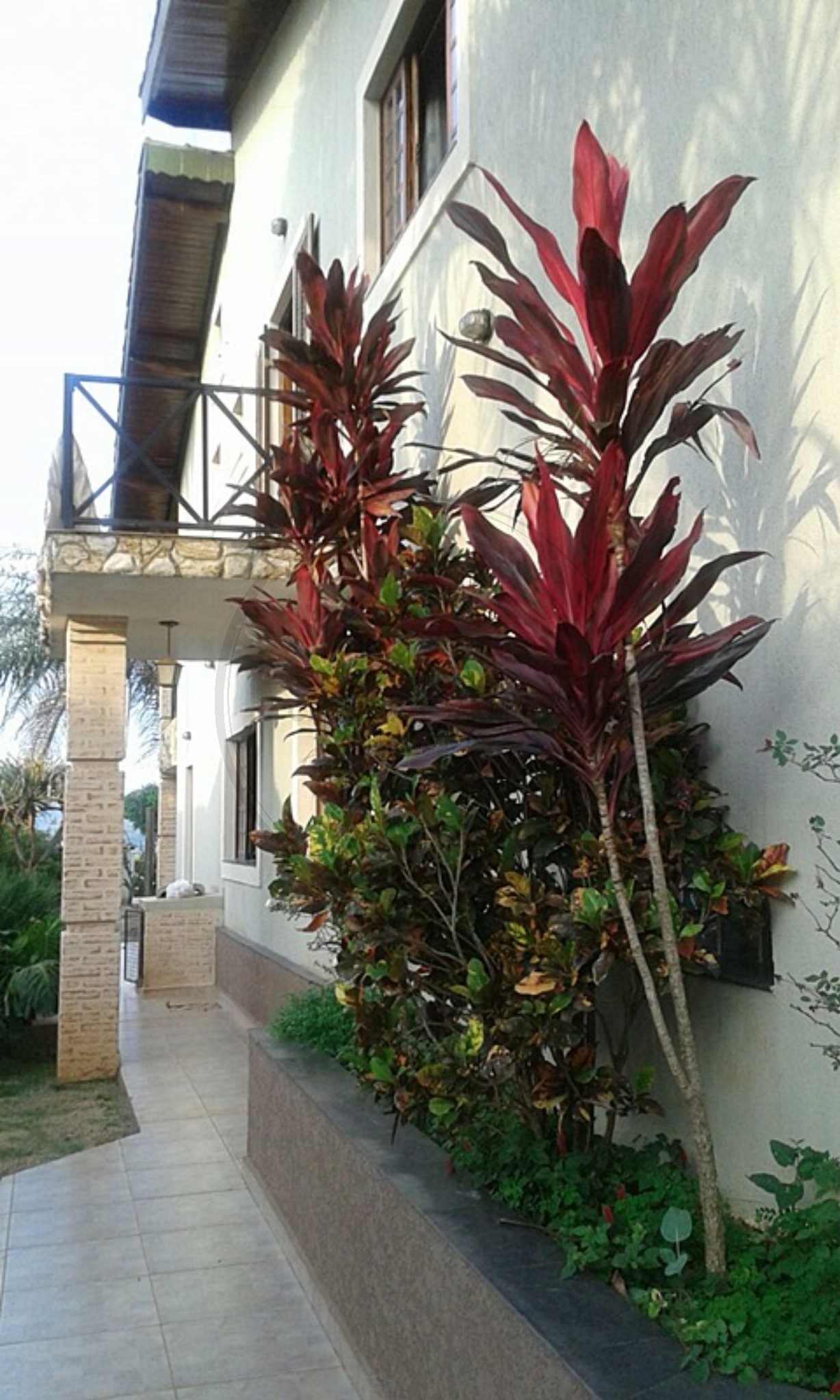 Chácara, 4 quartos, 1000 m² - Foto 19