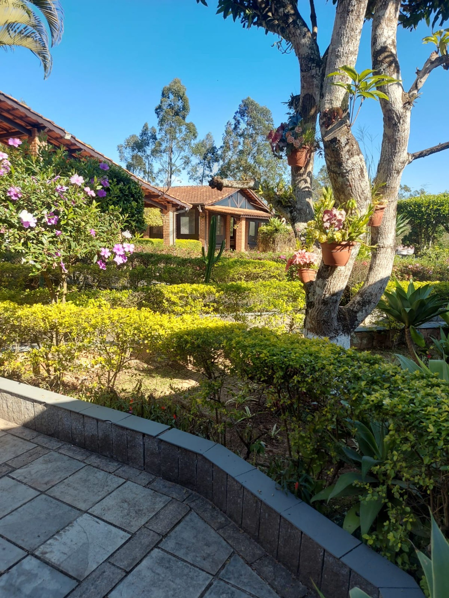 Chácara, 5 quartos, 1270 m² - Foto 35