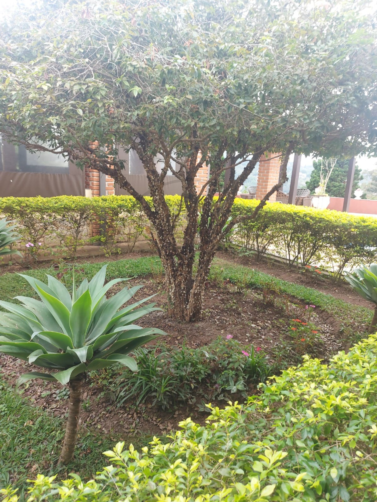 Chácara, 5 quartos, 1270 m² - Foto 49