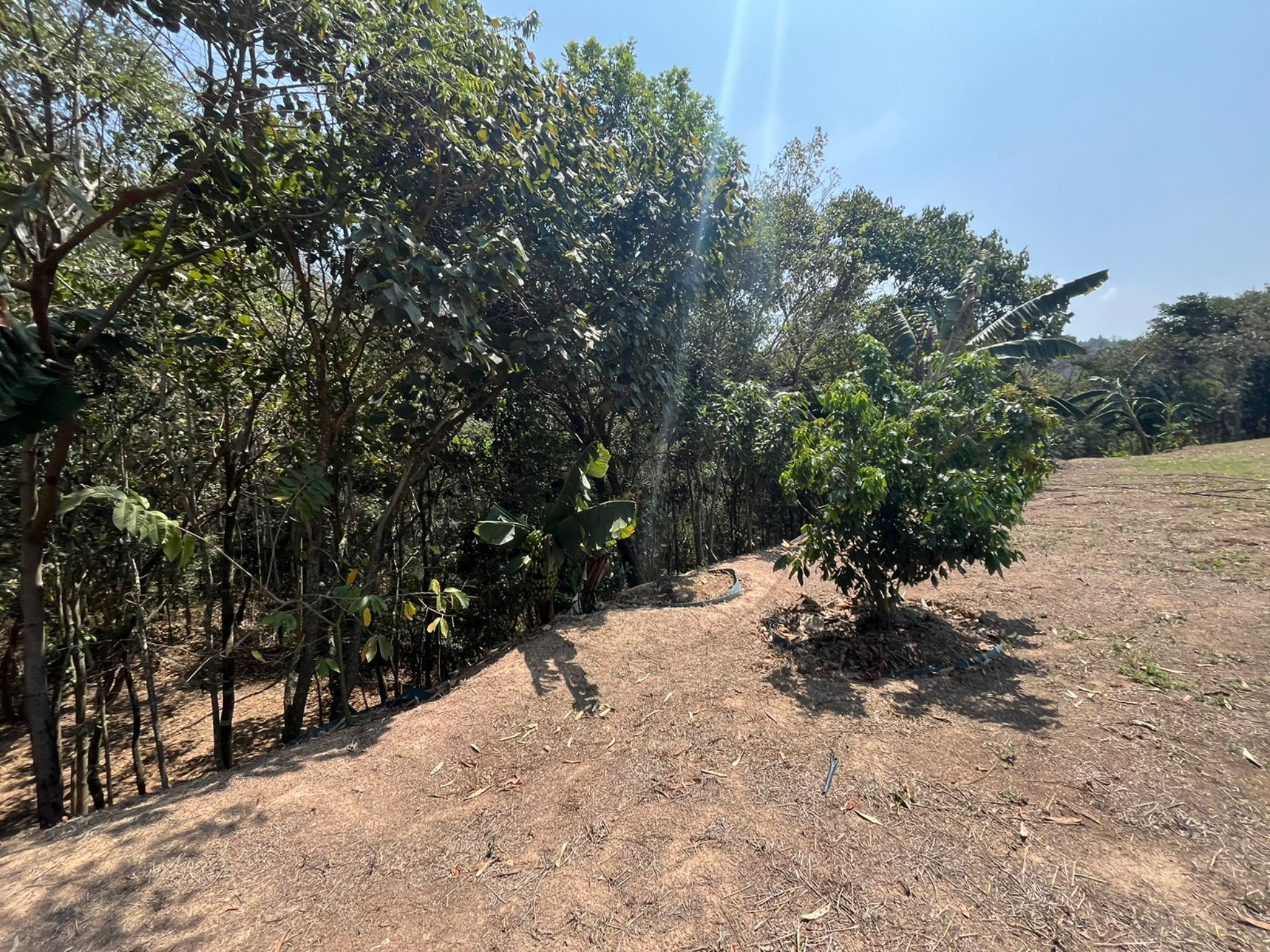 Terreno, 5000 m² - Foto 13