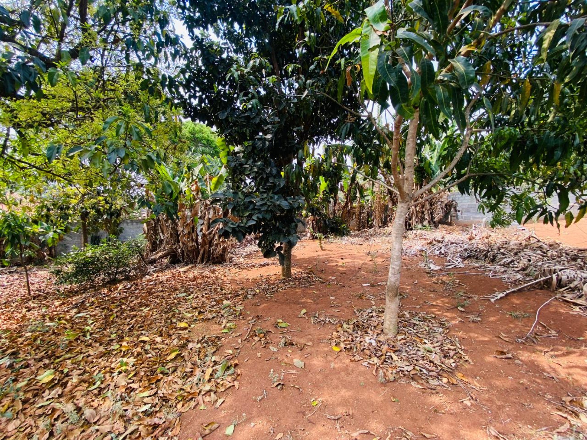 Chácara, 2 quartos - Foto 10