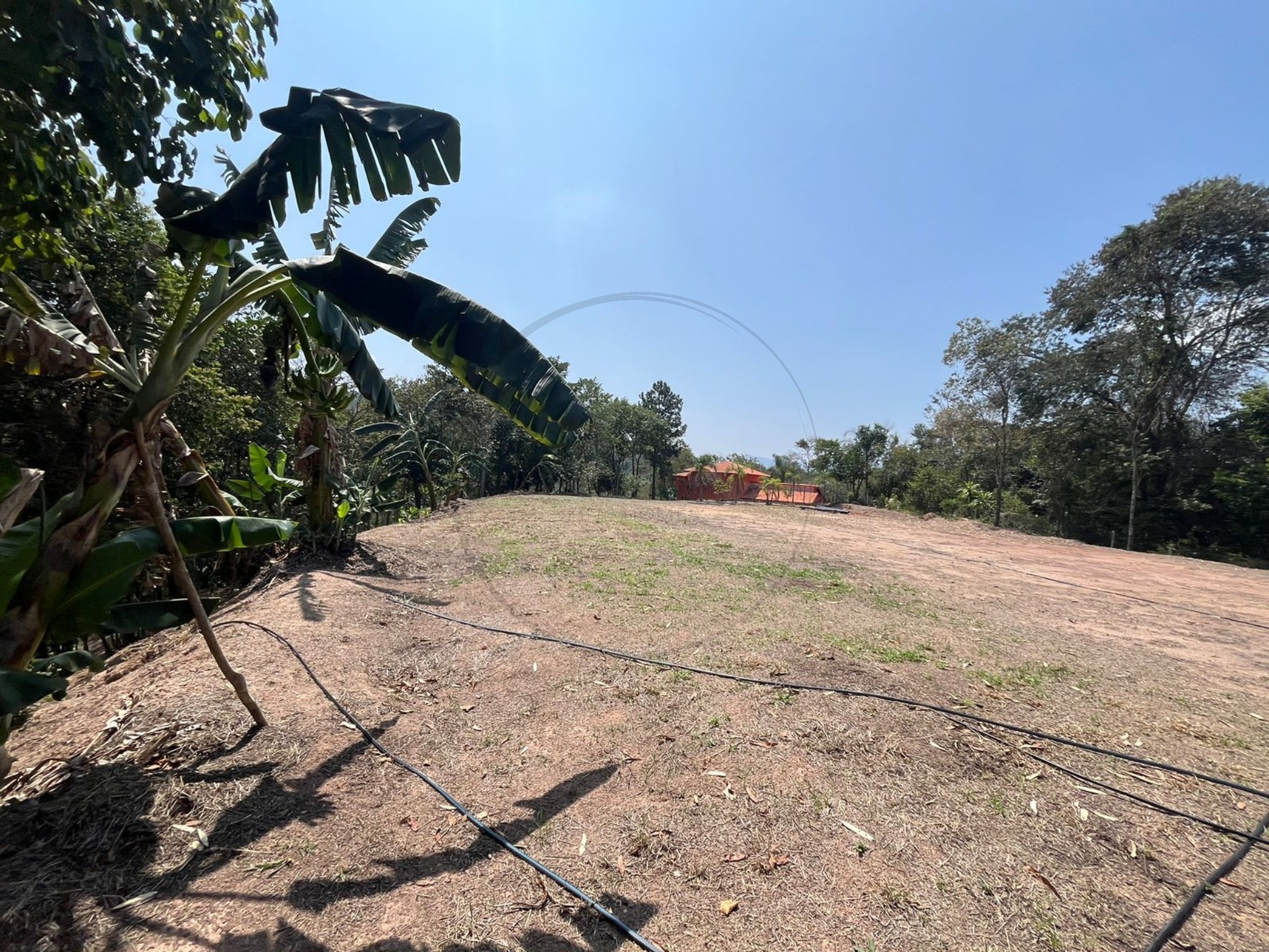 Terreno, 5000 m² - Foto 2
