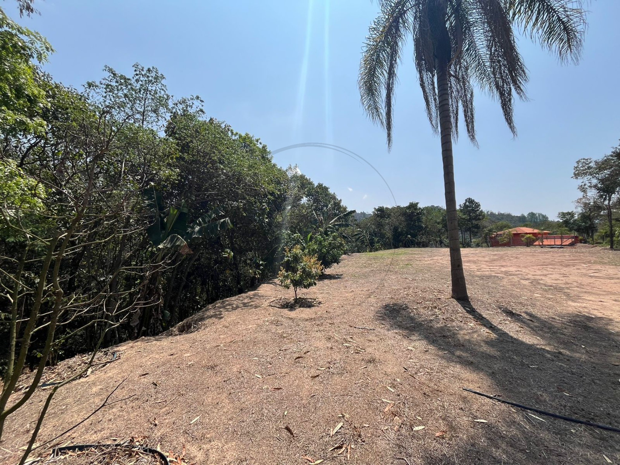 Terreno, 5000 m² - Foto 8