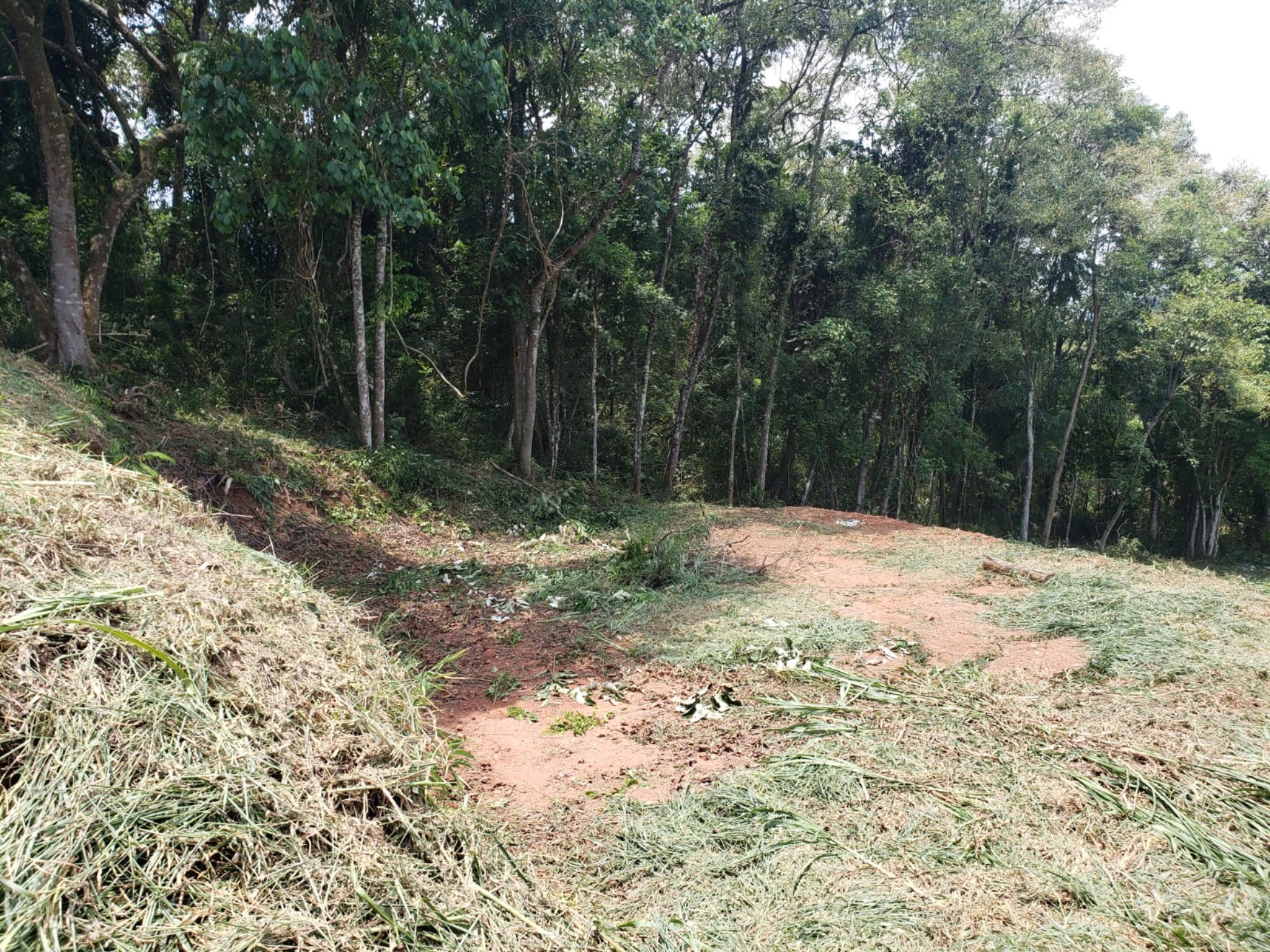 Terreno, 1000 m² - Foto 5