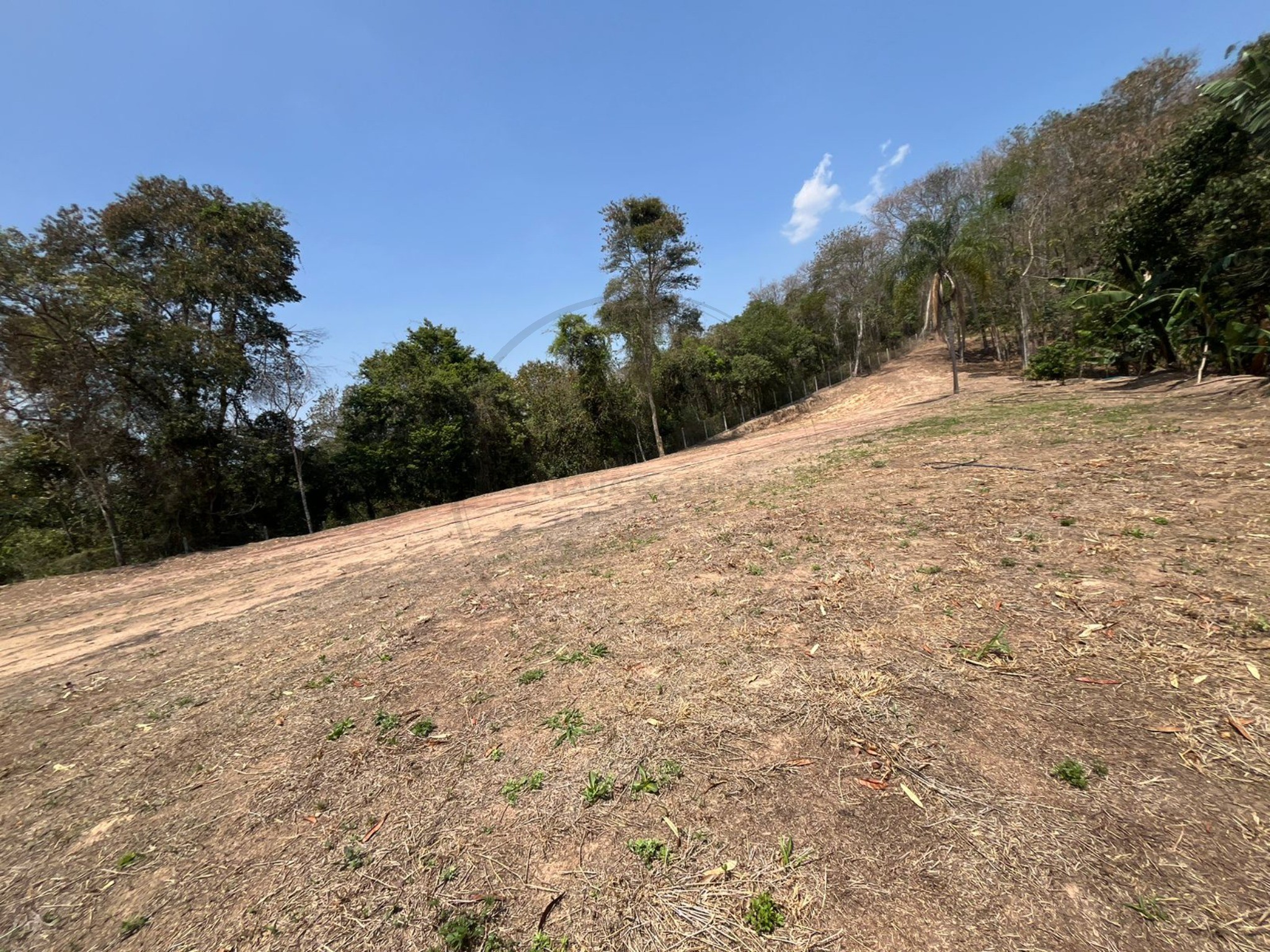 Terreno, 5000 m² - Foto 1