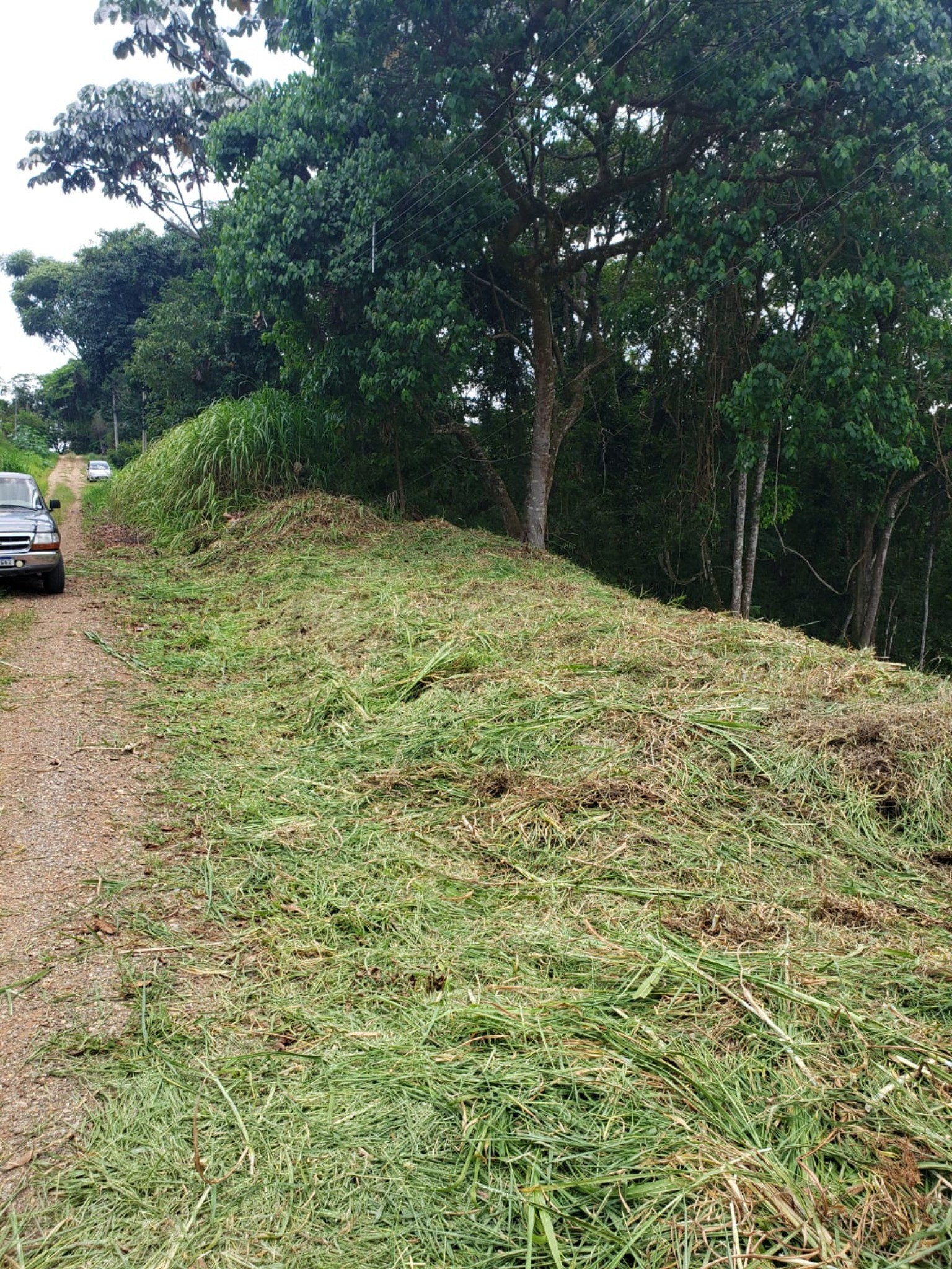Terreno, 1000 m² - Foto 3