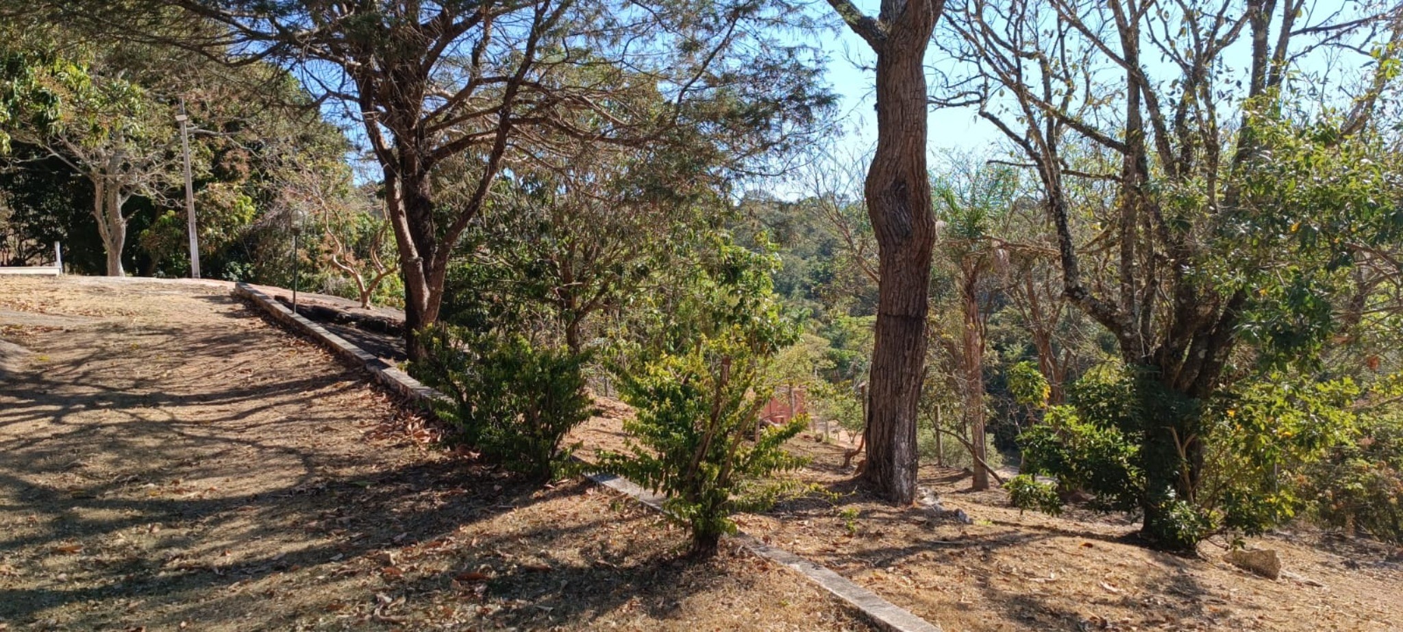 Chácara, 3 quartos, 2400 m² - Foto 9