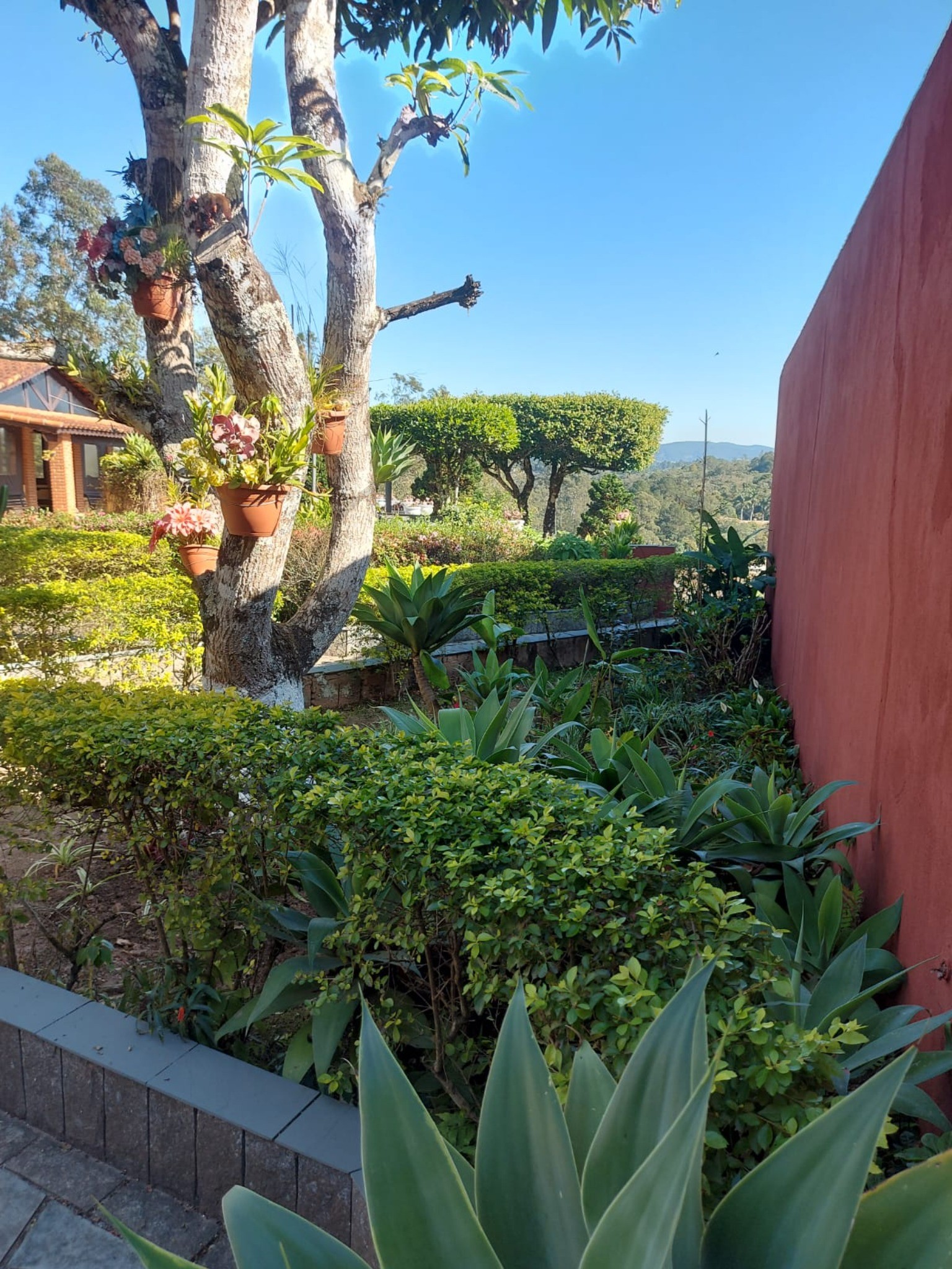 Chácara, 5 quartos, 1270 m² - Foto 34