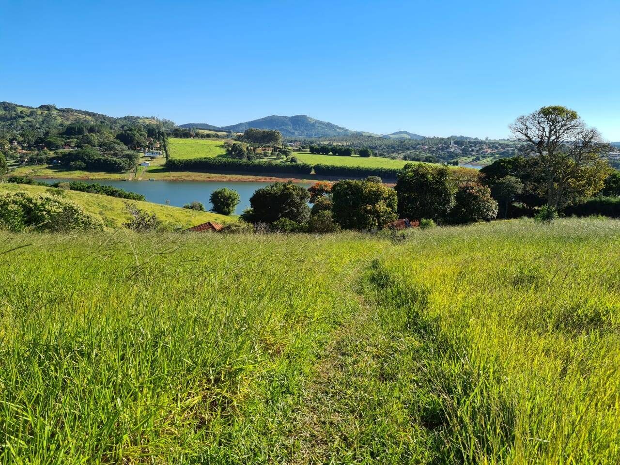 Terreno, 2 hectares - Foto 21