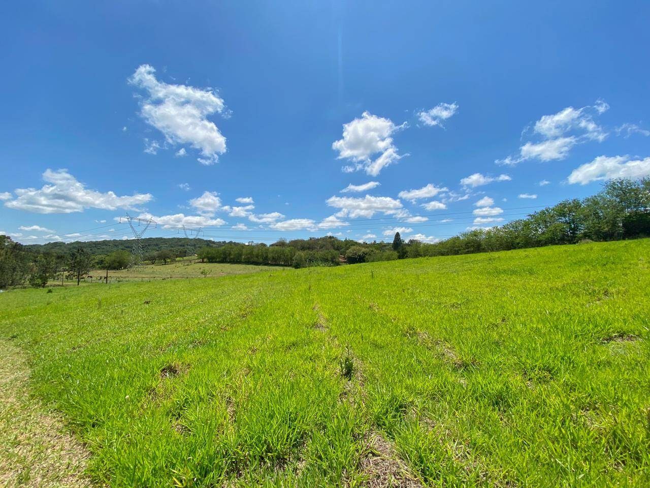 Sítio, 6 quartos, 6 hectares - Foto 38