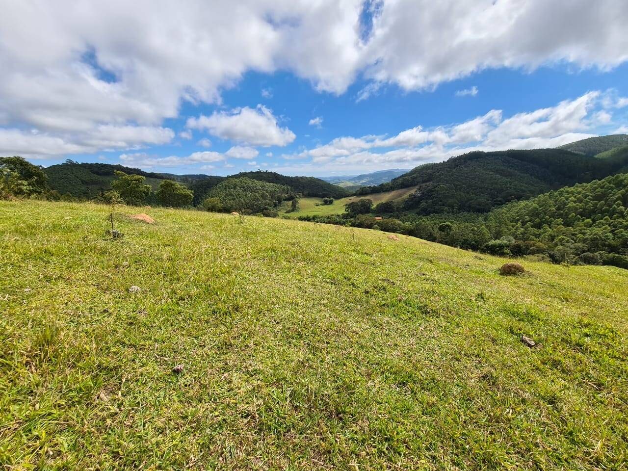 Sítio, 3 quartos, 51 hectares - Foto 21