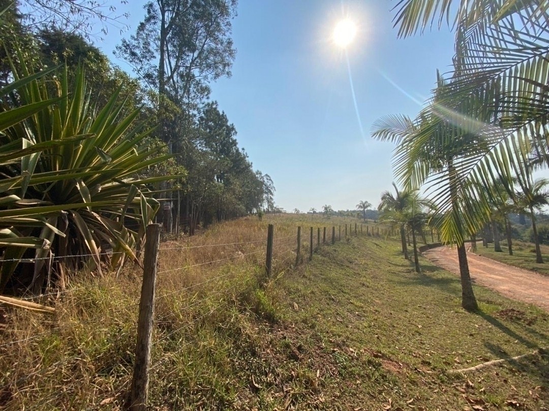 Terreno, 2 hectares - Foto 6