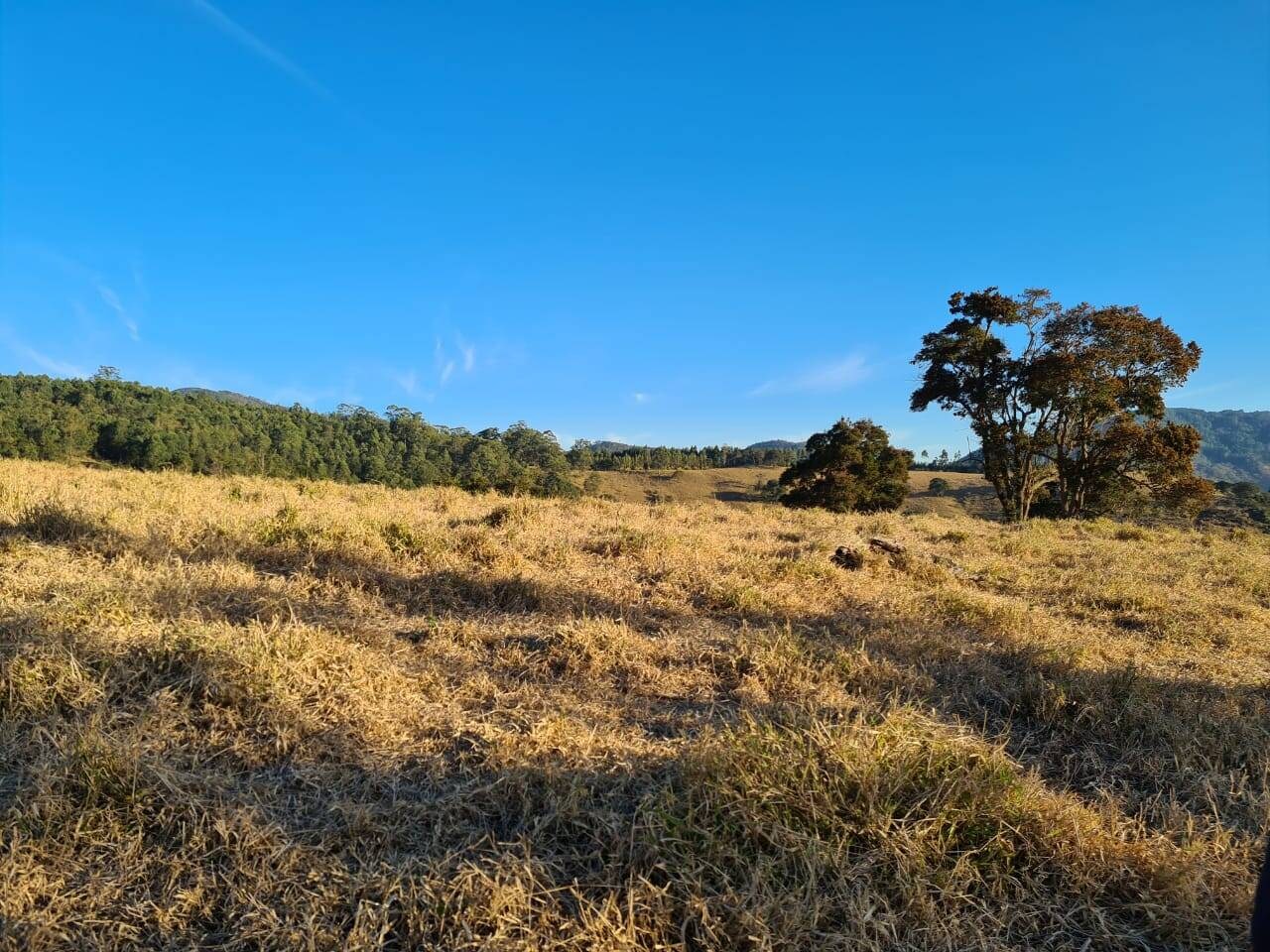 Chácara, 2 quartos, 10 hectares - Foto 24