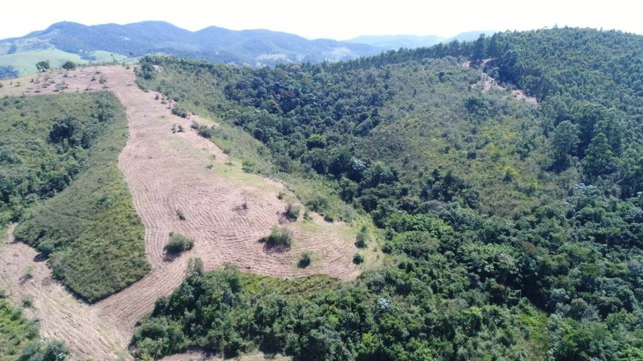 Sítio, 1 quarto, 19 hectares - Foto 7