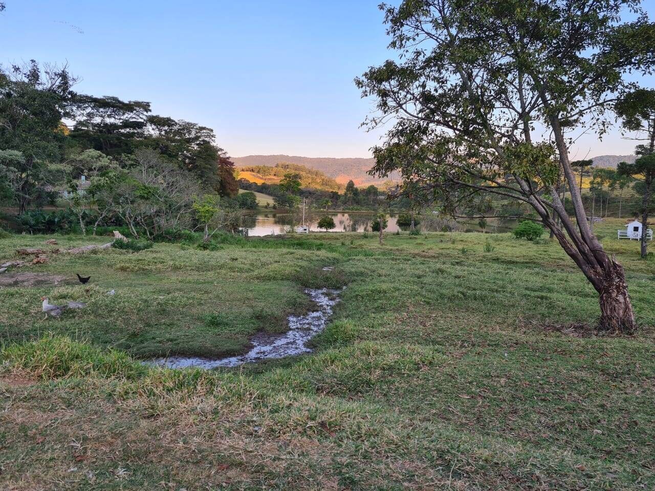 Sítio, 4 quartos, 605 hectares - Foto 14