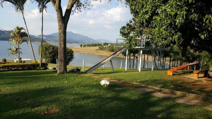 Sítio, 3 quartos, 3 hectares - Foto 12