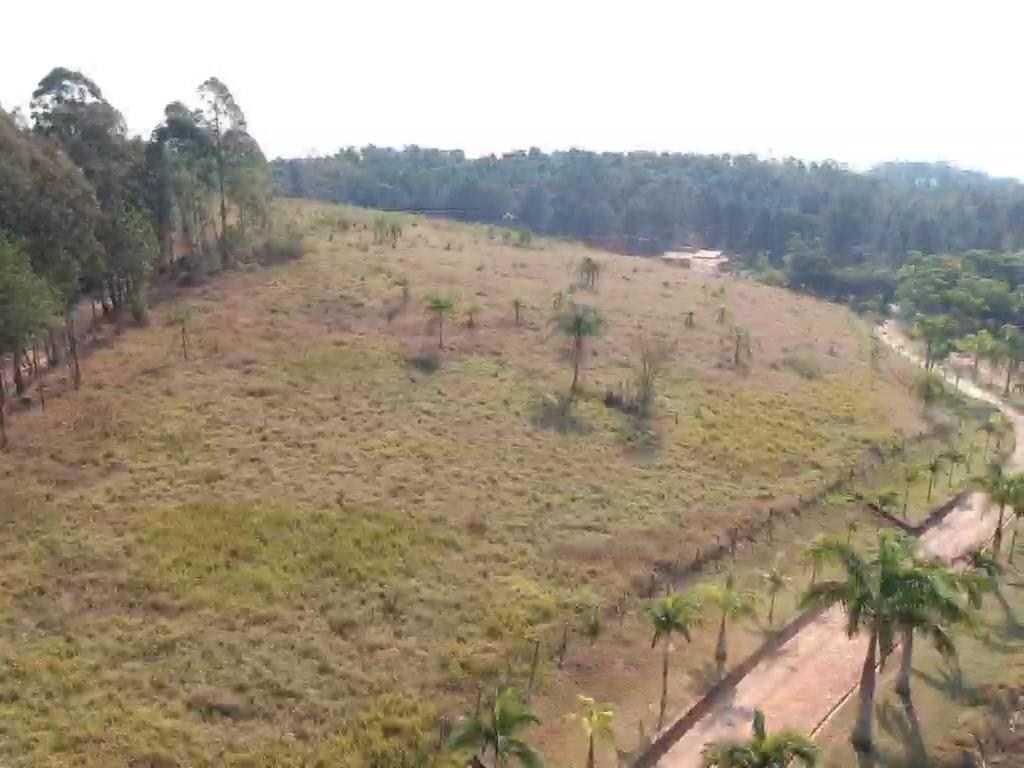 Terreno, 2 hectares - Foto 7